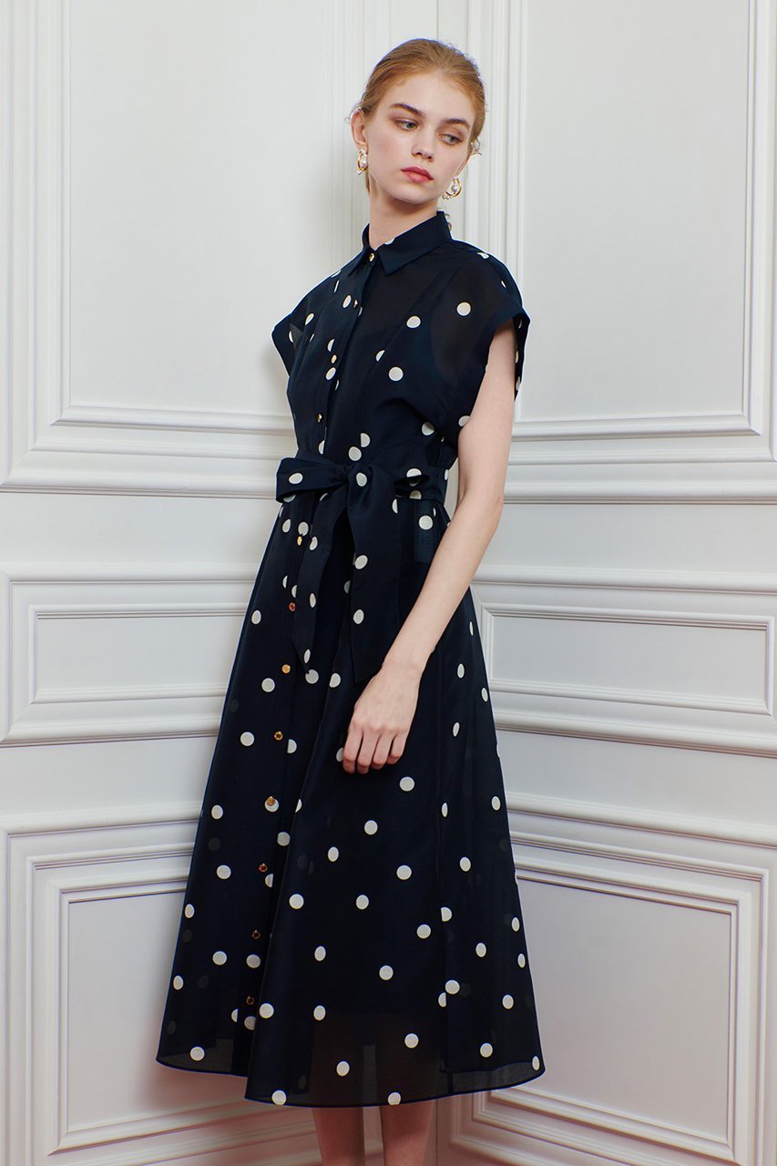 【アルアバイル/allureville】の【Loulou Willoughby】オーガンドットワンピース 人気、トレンドファッション・服の通販 founy(ファニー) 　ファッション　Fashion　レディースファッション　Fashion for Women　ワンピース　Dresses　チュニック　Tunic Tops & Dresses　おすすめ　Recommended / Our Picks　インナー　Innerwear　オーガンジー　Organza Fabric　シアー　Sheer, See-Through　チュニック　Tunic, Long Top　ドット　Polka Dot, Dot Pattern　フィット　Fit, Slim Fit　フェミニン　Feminine, Girly　フレア　Flare, Flared　リボン　Ribbon, Bow　ロング　Long, Long-Length　夏　Summer　other-8|ID: prp329100004926498 ipo3291000000036965715