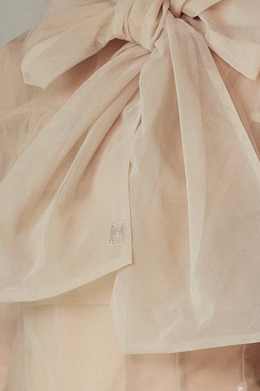 【プランク プロジェクト/PRANK PROJECT】のチュールボウタイボディスーツ / Tulle Bow Tie Bodysuit 人気、トレンドファッション・服の通販 founy(ファニー) 　ファッション　Fashion　レディースファッション　Fashion for Women　トップス・カットソー　Cut & Sew Tops　シャツ・ブラウス・オフィスカジュアル　Elegant Blouses & Button-Ups　おすすめ　Recommended / Our Picks　インナー　Innerwear　スウェット / スエット　Sweatshirt, Sweatwear　スリーブ　Sleeve, Long Sleeve / Short Sleeve　スーツ　Suit, Formalwear　チュール　Tulip, Tulip Motif　ブルゾン　Blouson, Bomber Jacket　マニッシュ　Mannish, Boyish　ロング　Long, Long-Length　other-7|ID: prp329100004926796 ipo3291000000036967966