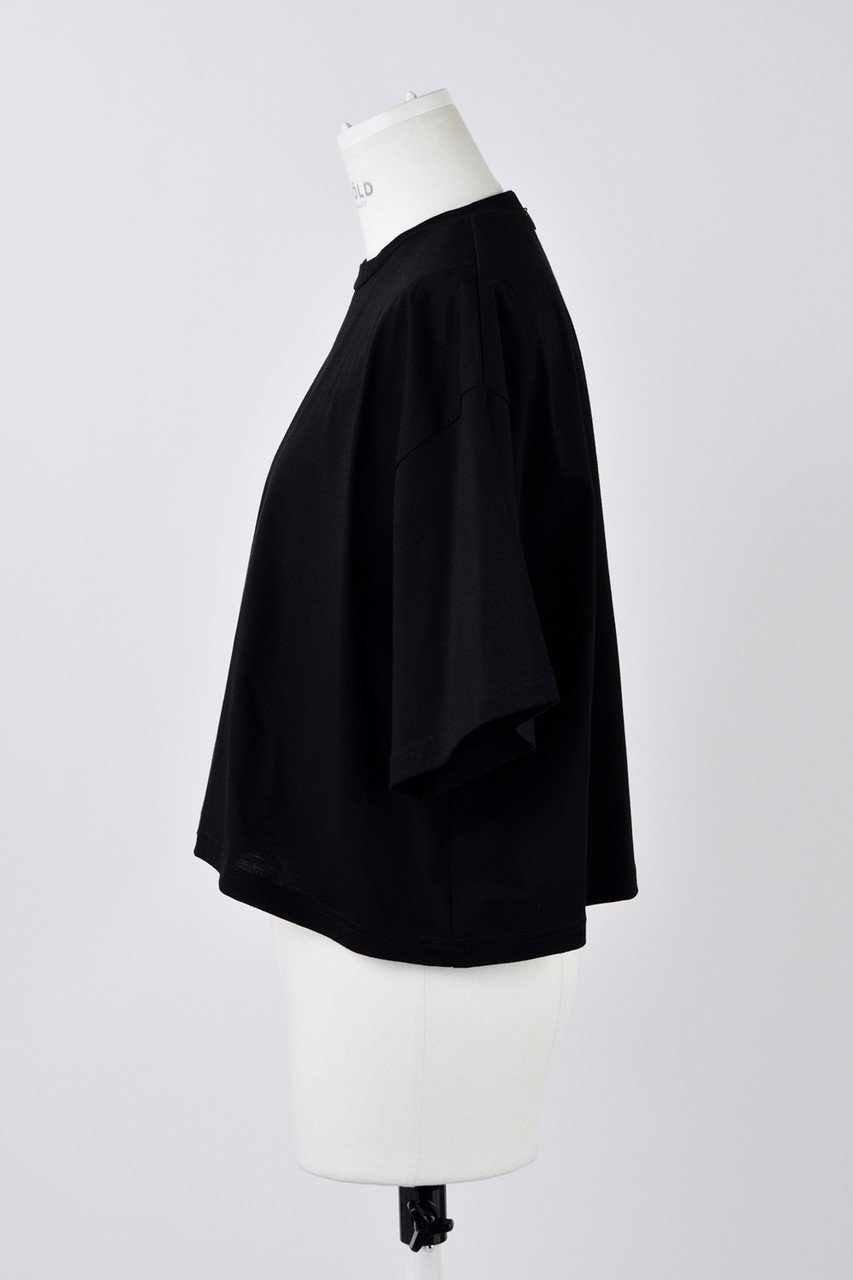 【エンフォルド/ENFOLD】のハード天竺 BOXワイド T/SH Tシャツ 人気、トレンドファッション・服の通販 founy(ファニー) 　ファッション　Fashion　レディースファッション　Fashion for Women　トップス・カットソー　Cut & Sew Tops　シャツ・ブラウス・オフィスカジュアル　Elegant Blouses & Button-Ups　ロングTシャツ・Tシャツ　Longline T-Shirts & Tees　カットソー・ベーシックTシャツ　Cut-and-Sewn Tops / Stretch Tees & Basics　クロップド　Cropped, Short Length　ショート　Short, Short Length　スリーブ　Sleeve, Long Sleeve / Short Sleeve　ルーズ　Loose, Oversized　ワイド　Wide, Wide Fit　other-2|ID: prp329100004927673 ipo3291000000036976021