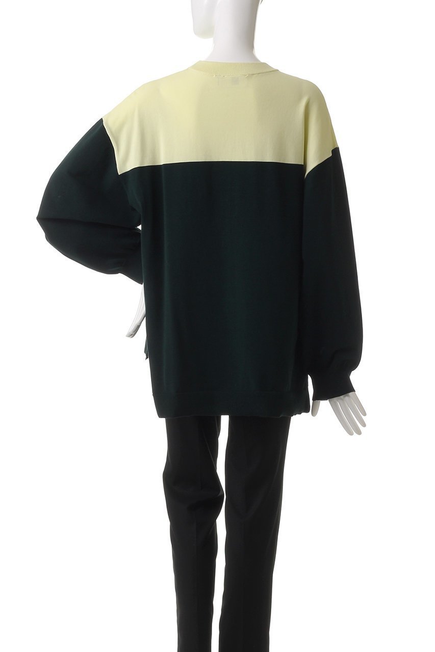 【ナゴンスタンス/nagonstans】のBi-color P.O/プルオーバー 人気、トレンドファッション・服の通販 founy(ファニー) 　ファッション　Fashion　レディースファッション　Fashion for Women　トップス・カットソー　Cut & Sew Tops　シャツ・ブラウス・オフィスカジュアル　Elegant Blouses & Button-Ups　ロングTシャツ・Tシャツ　Longline T-Shirts & Tees　カジュアルプルオーバー・ニットトップス　Pullovers & Knit Tops / Casual Pullovers　カットソー・ベーシックTシャツ　Cut-and-Sewn Tops / Stretch Tees & Basics　スリット　Slit, Slit Detail　スリーブ　Sleeve, Long Sleeve / Short Sleeve　ルーズ　Loose, Oversized　ロング　Long, Long-Length　other-4|ID: prp329100004928068 ipo3291000000036979616