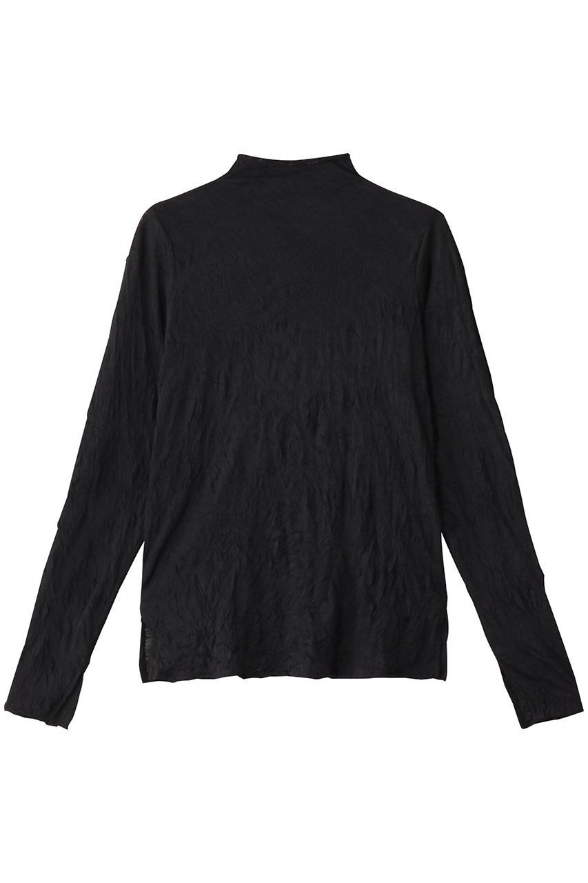 【ミディウミソリッド/MIDIUMISOLID】のsheer high neck inner.S インナー インテリア・キッズ・メンズ・レディースファッション・服の通販 founy(ファニー) 　ファッション　Fashion　レディースファッション　Fashion for Women　トップス・カットソー　Cut & Sew Tops　シャツ・ブラウス・オフィスカジュアル　Elegant Blouses & Button-Ups　ロングTシャツ・Tシャツ　Longline T-Shirts & Tees　カットソー・ベーシックTシャツ　Cut-and-Sewn Tops / Stretch Tees & Basics　インナー　Innerwear　シアー　Sheer, See-Through　シンプル　Simple, Minimal　スリーブ　Sleeve, Long Sleeve / Short Sleeve　ハイネック　High Neck, Mock Neck　フォルム　Silhouette, Form　ロング　Long, Long-Length　black|ID: prp329100004928107 ipo3291000000036979947