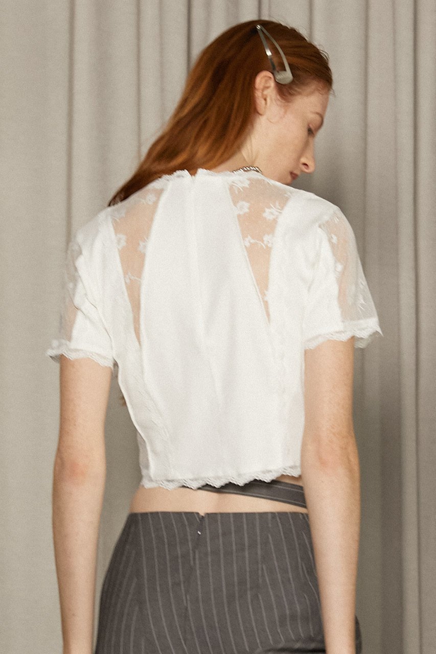 【プランク プロジェクト/PRANK PROJECT】のレース&リブトップ / Lace & Rib Top 人気、トレンドファッション・服の通販 founy(ファニー) 　ファッション　Fashion　レディースファッション　Fashion for Women　トップス・カットソー　Cut & Sew Tops　シャツ・ブラウス・オフィスカジュアル　Elegant Blouses & Button-Ups　ロングTシャツ・Tシャツ　Longline T-Shirts & Tees　カットソー・ベーシックTシャツ　Cut-and-Sewn Tops / Stretch Tees & Basics　インナー　Innerwear　コンパクト　Compact, Small Size　ショート　Short, Short Length　ストレッチ　Stretch, Stretchy Fabric　スリーブ　Sleeve, Long Sleeve / Short Sleeve　トリミング　Trimming, Decorative Edge　ドッキング　Docking, Mixed Material　レース　Lace, Lace Fabric　切替　Switching, Contrast Panel　other-8|ID: prp329100004928123 ipo3291000000036980123