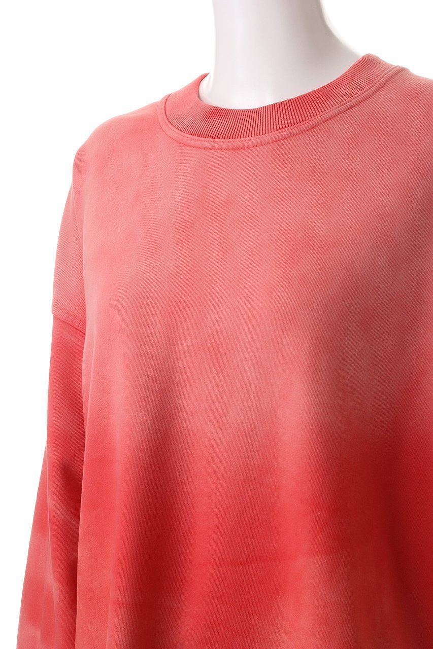 【メゾンスペシャル/MAISON SPECIAL】の【UNISEX】サンドブリーチクルーネックスウェットプルオーバー 人気、トレンドファッション・服の通販 founy(ファニー) 　ファッション　Fashion　レディースファッション　Fashion for Women　トップス・カットソー　Cut & Sew Tops　シャツ・ブラウス・オフィスカジュアル　Elegant Blouses & Button-Ups　レディースパーカー・カジュアルフーディー　Casual Hoodies & Sweatshirts　ロングTシャツ・Tシャツ　Longline T-Shirts & Tees　カジュアルプルオーバー・ニットトップス　Pullovers & Knit Tops / Casual Pullovers　スウェット・クルーネックトップス　Sweatshirts & Crewnecks / Relaxed Fit Sweat Tops　カットソー・ベーシックTシャツ　Cut-and-Sewn Tops / Stretch Tees & Basics　ユニセックス　Unisex, Genderless　ジーンズ　Jeans, Denim Pants　スリーブ　Sleeve, Long Sleeve / Short Sleeve　ビンテージ　Vintage, Retro Style　ロング　Long, Long-Length　other-5|ID: prp329100004928260 ipo3291000000036981462