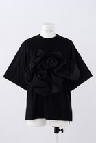 【エンフォルド/ENFOLD】のRoyal Organic オーガンジー T/SH Tシャツ 人気、トレンドファッション・服の通販 founy(ファニー) ファッション Fashion レディースファッション Fashion for Women トップス・カットソー Cut & Sew Tops シャツ・ブラウス・オフィスカジュアル Elegant Blouses & Button-Ups ロングTシャツ・Tシャツ Longline T-Shirts & Tees カットソー・ベーシックTシャツ Cut-and-Sewn Tops / Stretch Tees & Basics オーガンジー Organza Fabric ギャザー Gathered, Ruffled ショート Short, Short Length スリーブ Sleeve, Long Sleeve / Short Sleeve ティアード Tiered, Tiered Style モチーフ Motif, Design Theme thumbnail ブラック|ID: prp329100004928563 ipo3291000000036984073