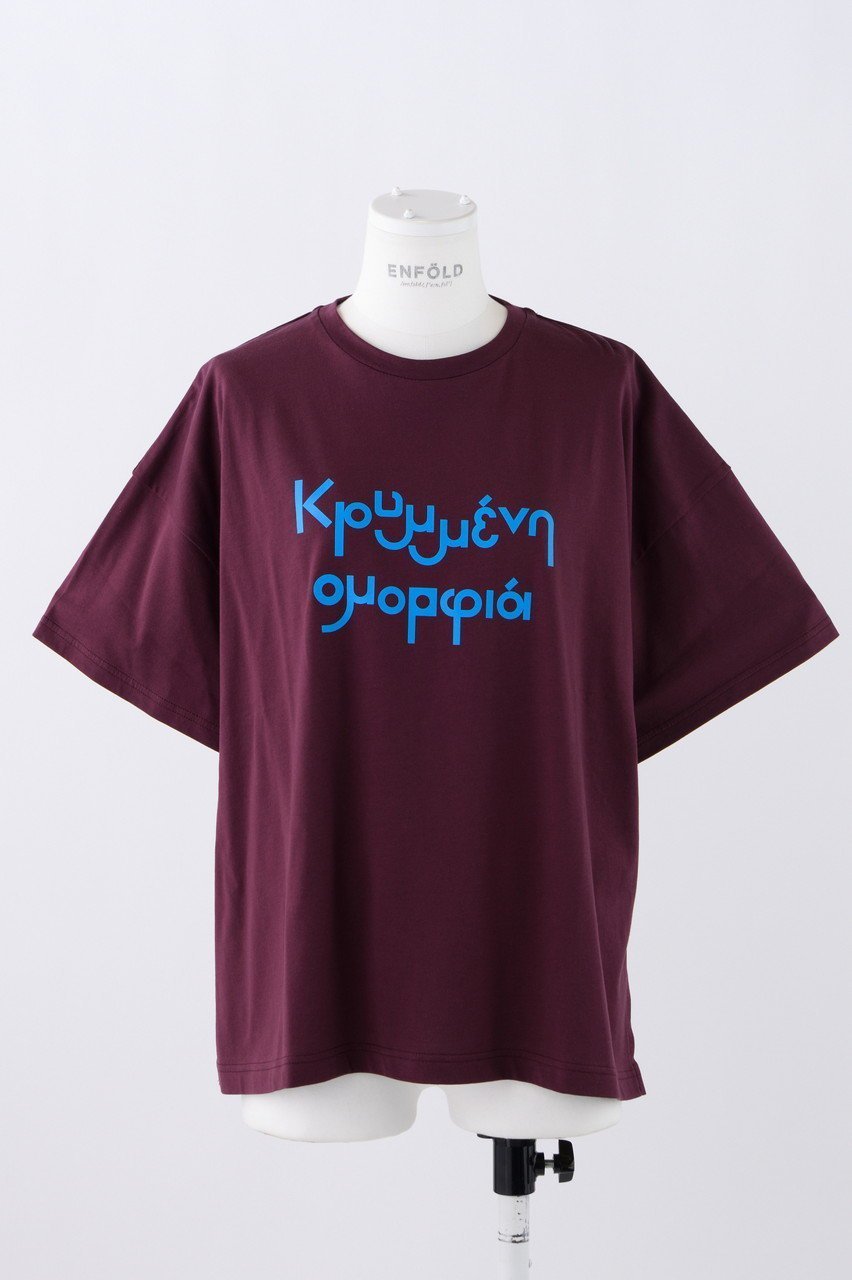 【エンフォルド/ENFOLD】のHidden Beauty T/SH Tシャツ インテリア・キッズ・メンズ・レディースファッション・服の通販 founy(ファニー) 　ファッション　Fashion　レディースファッション　Fashion for Women　トップス・カットソー　Cut & Sew Tops　シャツ・ブラウス・オフィスカジュアル　Elegant Blouses & Button-Ups　ロングTシャツ・Tシャツ　Longline T-Shirts & Tees　カットソー・ベーシックTシャツ　Cut-and-Sewn Tops / Stretch Tees & Basics　エレガント 上品　Elegant　ショート　Short, Short Length　シンプル　Simple, Minimal　スリット　Slit, Slit Detail　スリーブ　Sleeve, Long Sleeve / Short Sleeve　タフタ　Taffeta, Structured Fabric　プリント　Print, Printed Pattern　ボルドー|ID: prp329100004928567 ipo3291000000036984119