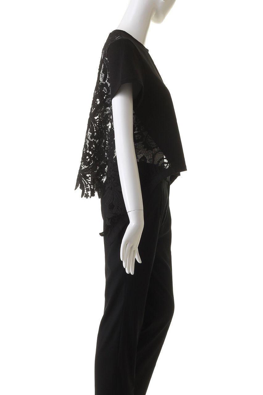 【アルアバイル/allureville】の【Loulou Willoughby】レースドッキングプルオーバー 人気、トレンドファッション・服の通販 founy(ファニー) 　ファッション　Fashion　レディースファッション　Fashion for Women　トップス・カットソー　Cut & Sew Tops　シャツ・ブラウス・オフィスカジュアル　Elegant Blouses & Button-Ups　ロングTシャツ・Tシャツ　Longline T-Shirts & Tees　カジュアルプルオーバー・ニットトップス　Pullovers & Knit Tops / Casual Pullovers　カットソー・ベーシックTシャツ　Cut-and-Sewn Tops / Stretch Tees & Basics　エレガント 上品　Elegant　ショート　Short, Short Length　シンプル　Simple, Minimal　スカラップ　Scallop, Scalloped Edge　スリーブ　Sleeve, Long Sleeve / Short Sleeve　レース　Lace, Lace Fabric　other-3|ID: prp329100004928622 ipo3291000000036984858