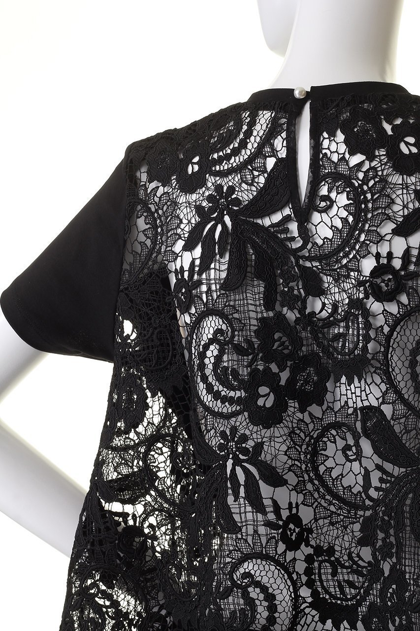 【アルアバイル/allureville】の【Loulou Willoughby】レースドッキングプルオーバー 人気、トレンドファッション・服の通販 founy(ファニー) 　ファッション　Fashion　レディースファッション　Fashion for Women　トップス・カットソー　Cut & Sew Tops　シャツ・ブラウス・オフィスカジュアル　Elegant Blouses & Button-Ups　ロングTシャツ・Tシャツ　Longline T-Shirts & Tees　カジュアルプルオーバー・ニットトップス　Pullovers & Knit Tops / Casual Pullovers　カットソー・ベーシックTシャツ　Cut-and-Sewn Tops / Stretch Tees & Basics　エレガント 上品　Elegant　ショート　Short, Short Length　シンプル　Simple, Minimal　スカラップ　Scallop, Scalloped Edge　スリーブ　Sleeve, Long Sleeve / Short Sleeve　レース　Lace, Lace Fabric　other-5|ID: prp329100004928622 ipo3291000000036984862