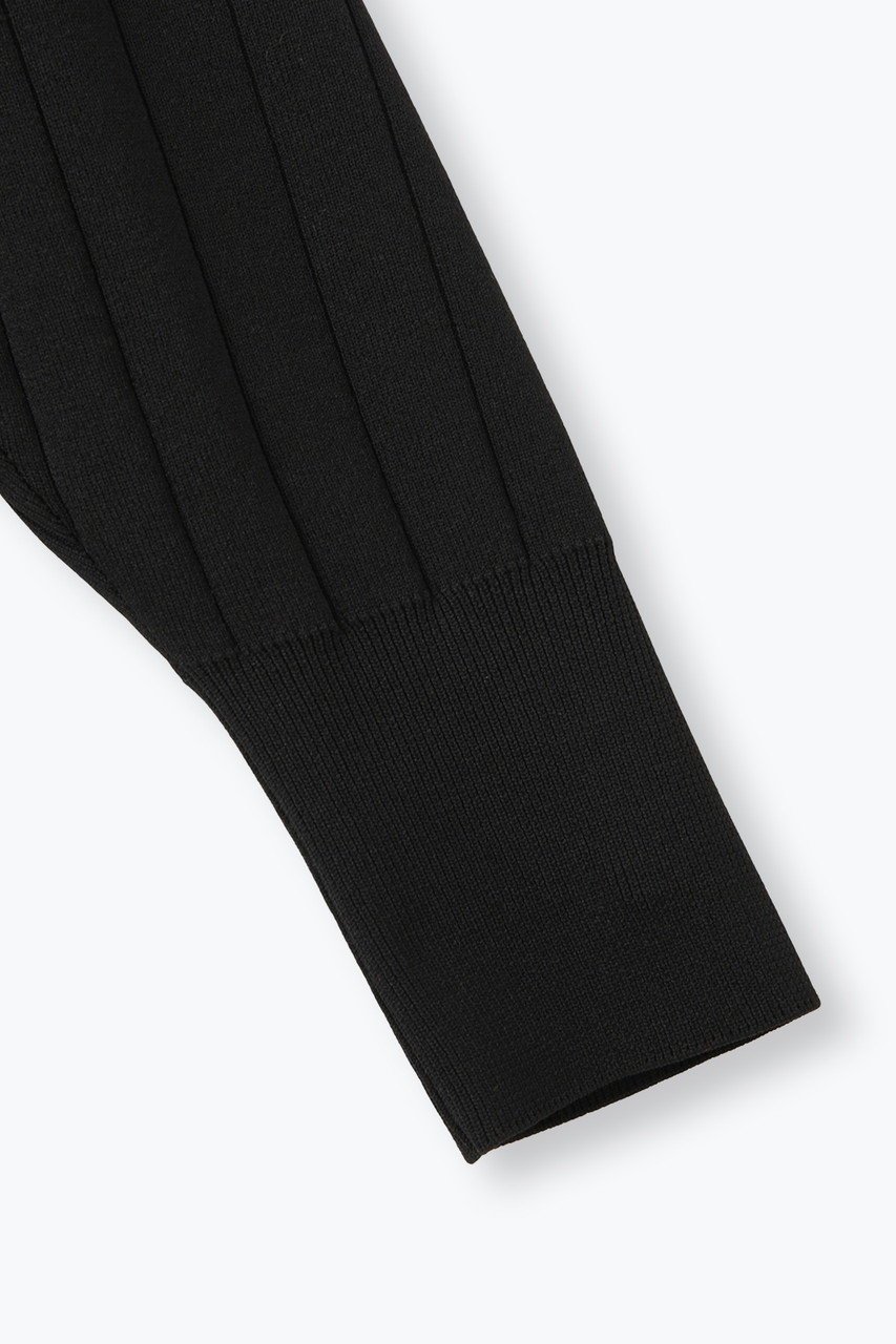 【レリル/lelill】のハイテクワイドリブ ボレロ 人気、トレンドファッション・服の通販 founy(ファニー) 　ファッション　Fashion　レディースファッション　Fashion for Women　アウター　Coat / Outerwear Collection　ボレロ・ショート丈ジャケット / ドレス羽織りに　Boleros & Short Jackets　トップス・カットソー　Cut & Sew Tops　シャツ・ブラウス・オフィスカジュアル　Elegant Blouses & Button-Ups　ロングTシャツ・Tシャツ　Longline T-Shirts & Tees　カットソー・ベーシックTシャツ　Cut-and-Sewn Tops / Stretch Tees & Basics　カシュクール　Wrap Design　コンパクト　Compact, Small Size　スリーブ　Sleeve, Long Sleeve / Short Sleeve　パターン　Pattern, Design Print　フロント　Front, Front Design　ボレロ　Bolero, Short Cardigan　ロング　Long, Long-Length　ワイドリブ　Wide Rib, Wide Ribbed Knit　人気　Popular, Best Seller　other-6|ID: prp329100004929305 ipo3291000000036992785