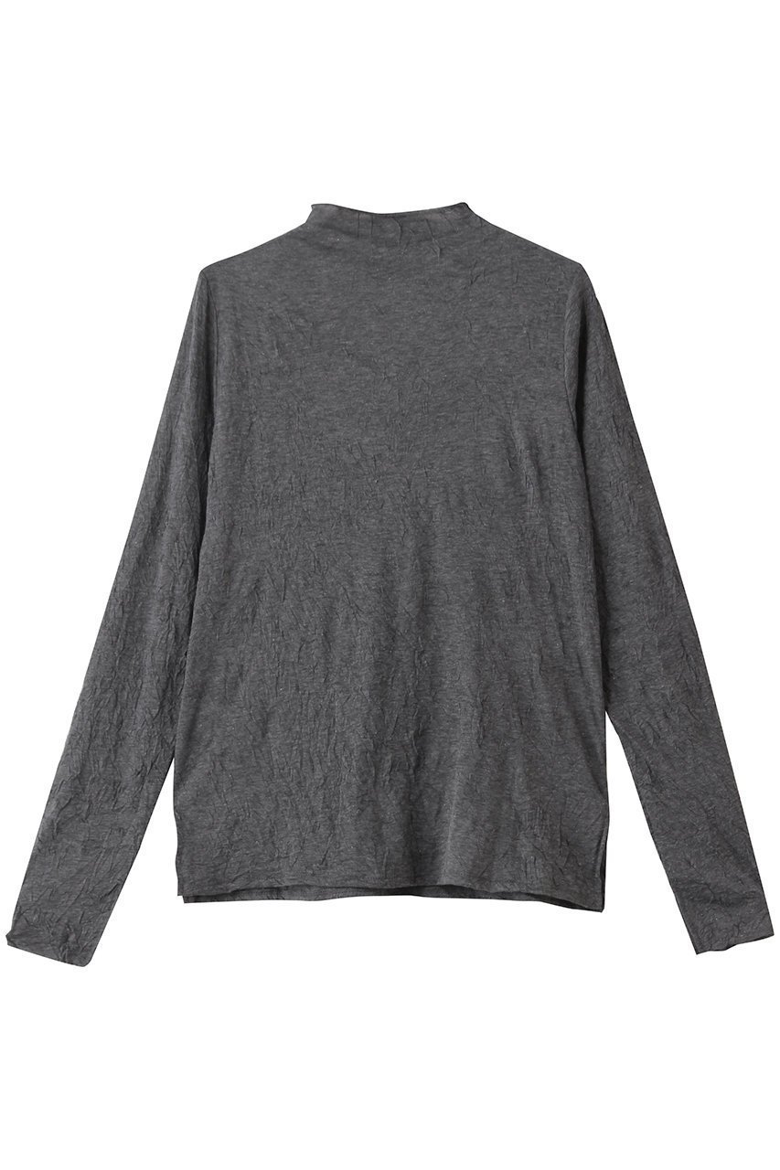 【ミディウミソリッド/MIDIUMISOLID】のシアーハイネックインナー インテリア・キッズ・メンズ・レディースファッション・服の通販 founy(ファニー) 　ファッション　Fashion　レディースファッション　Fashion for Women　トップス・カットソー　Cut & Sew Tops　シャツ・ブラウス・オフィスカジュアル　Elegant Blouses & Button-Ups　ロングTシャツ・Tシャツ　Longline T-Shirts & Tees　カットソー・ベーシックTシャツ　Cut-and-Sewn Tops / Stretch Tees & Basics　インナー　Innerwear　シアー　Sheer, See-Through　シンプル　Simple, Minimal　スリーブ　Sleeve, Long Sleeve / Short Sleeve　ハイネック　High Neck, Mock Neck　フィット　Fit, Slim Fit　ロング　Long, Long-Length　エレガント 上品　Elegant　c.gray|ID: prp329100004929331 ipo3291000000036993000