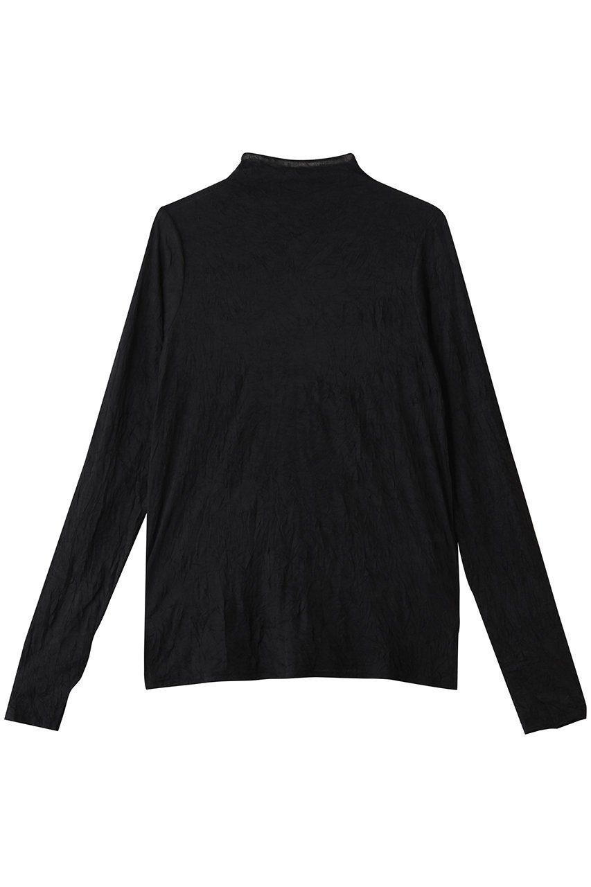 【ミディウミソリッド/MIDIUMISOLID】のシアーハイネックインナー インテリア・キッズ・メンズ・レディースファッション・服の通販 founy(ファニー) 　ファッション　Fashion　レディースファッション　Fashion for Women　トップス・カットソー　Cut & Sew Tops　シャツ・ブラウス・オフィスカジュアル　Elegant Blouses & Button-Ups　ロングTシャツ・Tシャツ　Longline T-Shirts & Tees　カットソー・ベーシックTシャツ　Cut-and-Sewn Tops / Stretch Tees & Basics　インナー　Innerwear　シアー　Sheer, See-Through　シンプル　Simple, Minimal　スリーブ　Sleeve, Long Sleeve / Short Sleeve　ハイネック　High Neck, Mock Neck　フィット　Fit, Slim Fit　ロング　Long, Long-Length　エレガント 上品　Elegant　black|ID: prp329100004929331 ipo3291000000036993002