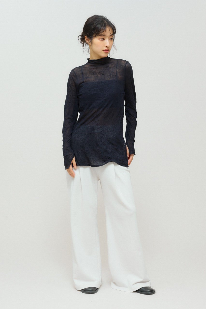 【ミディウミソリッド/MIDIUMISOLID】のシアーハイネックインナー 人気、トレンドファッション・服の通販 founy(ファニー) 　ファッション　Fashion　レディースファッション　Fashion for Women　トップス・カットソー　Cut & Sew Tops　シャツ・ブラウス・オフィスカジュアル　Elegant Blouses & Button-Ups　ロングTシャツ・Tシャツ　Longline T-Shirts & Tees　カットソー・ベーシックTシャツ　Cut-and-Sewn Tops / Stretch Tees & Basics　インナー　Innerwear　シアー　Sheer, See-Through　シンプル　Simple, Minimal　スリーブ　Sleeve, Long Sleeve / Short Sleeve　ハイネック　High Neck, Mock Neck　フィット　Fit, Slim Fit　ロング　Long, Long-Length　エレガント 上品　Elegant　other-6|ID: prp329100004929331 ipo3291000000036993014