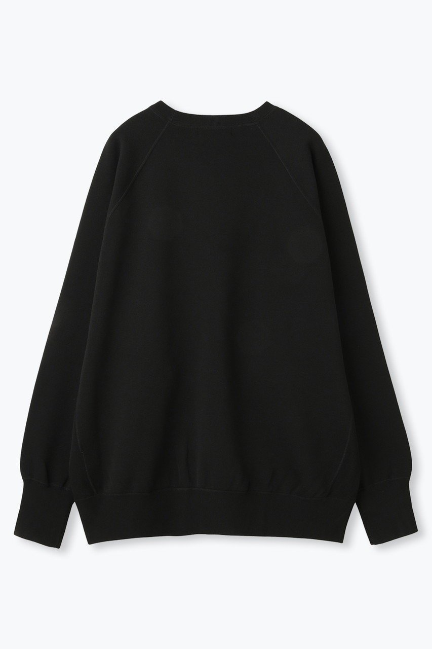 【レリル/lelill】のハイテクニット スウェット (ワイドシルエット) 人気、トレンドファッション・服の通販 founy(ファニー) 　ファッション　Fashion　レディースファッション　Fashion for Women　トップス・カットソー　Cut & Sew Tops　ニット　Knit Tops & Sweaters　シャツ・ブラウス・オフィスカジュアル　Elegant Blouses & Button-Ups　レディースパーカー・カジュアルフーディー　Casual Hoodies & Sweatshirts　ロングTシャツ・Tシャツ　Longline T-Shirts & Tees　スウェット・クルーネックトップス　Sweatshirts & Crewnecks / Relaxed Fit Sweat Tops　カットソー・ベーシックTシャツ　Cut-and-Sewn Tops / Stretch Tees & Basics　洗える　Machine Washable　クラシック　Classic, Timeless Style　軽量　Lightweight, Ultra Light　スウェット / スエット　Sweatshirt, Sweatwear　スリーブ　Sleeve, Long Sleeve / Short Sleeve　フィット　Fit, Slim Fit　ワイド　Wide, Wide Fit　おすすめ　Recommended / Our Picks　other-2|ID: prp329100004929556 ipo3291000000036994843