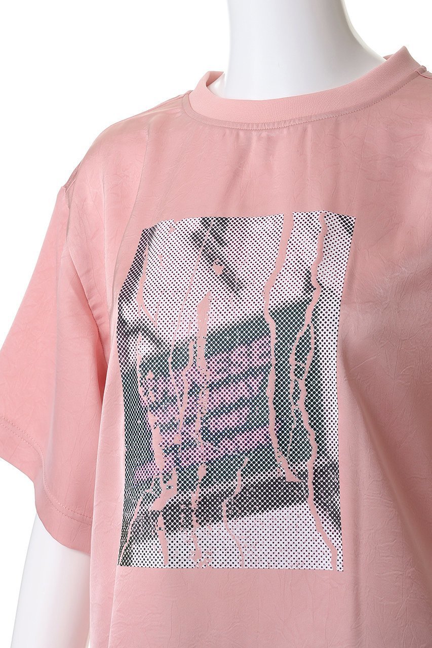 【メゾンスペシャル/MAISON SPECIAL】のDot Photo Print Satin T-Shirt/ドットフォトプリントサテンTシャツ 人気、トレンドファッション・服の通販 founy(ファニー) 　ファッション　Fashion　レディースファッション　Fashion for Women　トップス・カットソー　Cut & Sew Tops　シャツ・ブラウス・オフィスカジュアル　Elegant Blouses & Button-Ups　ロングTシャツ・Tシャツ　Longline T-Shirts & Tees　カットソー・ベーシックTシャツ　Cut-and-Sewn Tops / Stretch Tees & Basics　サテン　Satin, Glossy Fabric　ショート　Short, Short Length　スリーブ　Sleeve, Long Sleeve / Short Sleeve　ドット　Polka Dot, Dot Pattern　プリント　Print, Printed Pattern　other-5|ID: prp329100004929591 ipo3291000000036995193