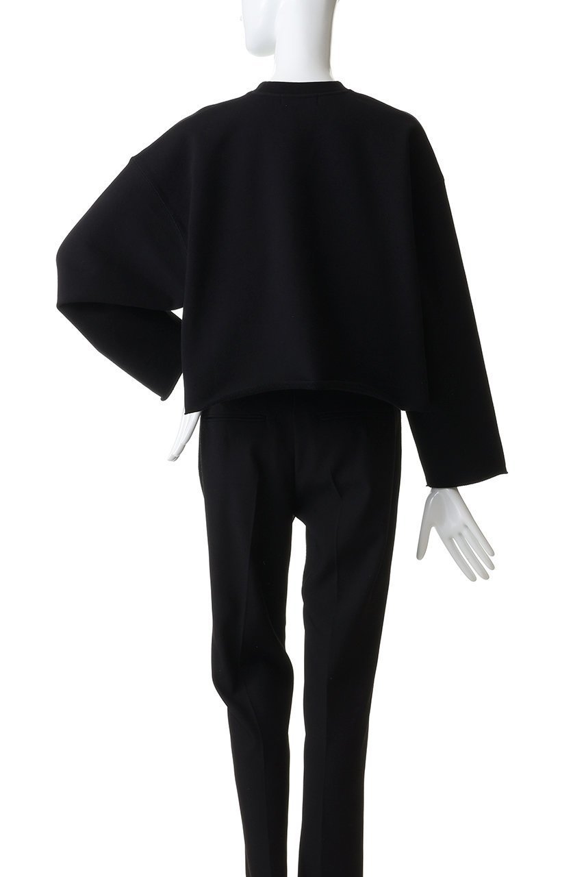 【サクラ/SACRA】のエクストラファインコットンフリーストップス 人気、トレンドファッション・服の通販 founy(ファニー) 　ファッション　Fashion　レディースファッション　Fashion for Women　トップス・カットソー　Cut & Sew Tops　シャツ・ブラウス・オフィスカジュアル　Elegant Blouses & Button-Ups　ロングTシャツ・Tシャツ　Longline T-Shirts & Tees　カットソー・ベーシックTシャツ　Cut-and-Sewn Tops / Stretch Tees & Basics　クロップド　Cropped, Short Length　スウェット / スエット　Sweatshirt, Sweatwear　スリーブ　Sleeve, Long Sleeve / Short Sleeve　バランス　Balance, Style Balance　ロング　Long, Long-Length　今季　This Season, Current Season　other-4|ID: prp329100004930481 ipo3291000000037005004