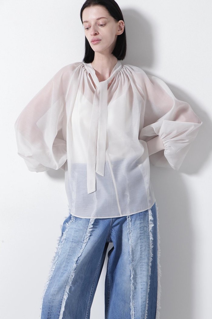 【ヒューエルミュージアム/hueLe Museum】の【STUMBLY】Sheer Organdy Bow-Tie BL インテリア・キッズ・メンズ・レディースファッション・服の通販 founy(ファウニー) https://founy.com/ ファッション Fashion レディースファッション Fashion for Women トップス・カットソー Cut & Sew Tops シャツ・ブラウス・オフィスカジュアル Elegant Blouses & Button-Ups ギャザー Gathered, Ruffled スリーブ Sleeve, Long Sleeve / Short Sleeve フォルム Silhouette, Form ロング Long, Long-Length |ID: prp329100004931567 ipo3291000000037014827