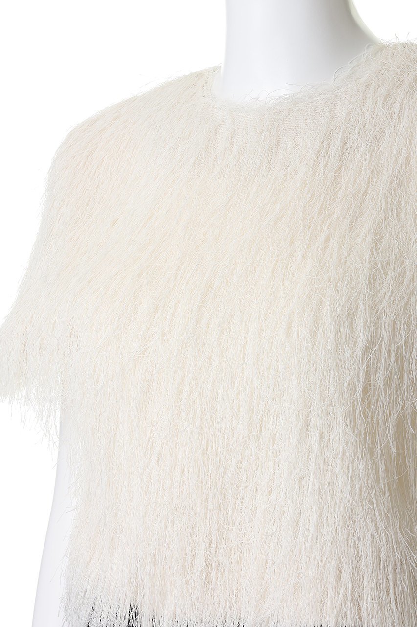 【プランク プロジェクト/PRANK PROJECT】のフェザーショートトップ 人気、トレンドファッション・服の通販 founy(ファニー) 　ファッション　Fashion　レディースファッション　Fashion for Women　トップス・カットソー　Cut & Sew Tops　シャツ・ブラウス・オフィスカジュアル　Elegant Blouses & Button-Ups　クロップド　Cropped, Short Length　ショート　Short, Short Length　スリーブ　Sleeve, Long Sleeve / Short Sleeve　フェザー　Feather, Feather Detail　メッシュ　Mesh, Net Fabric　夏　Summer　新作・新入荷　New Arrivals / New In　other-5|ID: prp329100004932041 ipo3291000000037017856