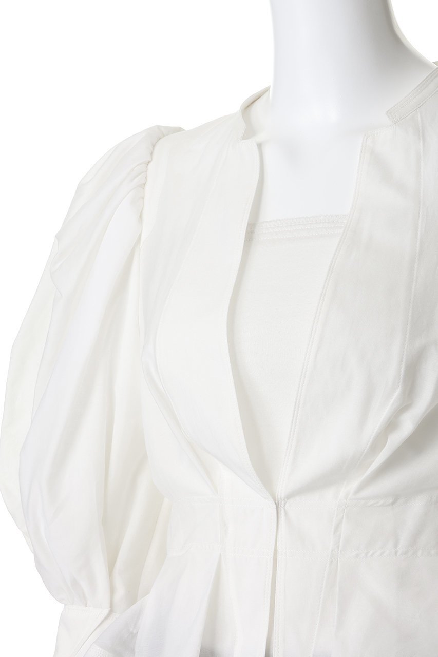 【その他のブランド/Other】のカリーナブリルブラウス 人気、トレンドファッション・服の通販 founy(ファニー) 　ファッション　Fashion　レディースファッション　Fashion for Women　トップス・カットソー　Cut & Sew Tops　シャツ・ブラウス・オフィスカジュアル　Elegant Blouses & Button-Ups　エレガント 上品　Elegant　スリーブ　Sleeve, Long Sleeve / Short Sleeve　ロング　Long, Long-Length　新作・新入荷　New Arrivals / New In　other-5|ID: prp329100004932045 ipo3291000000037017883