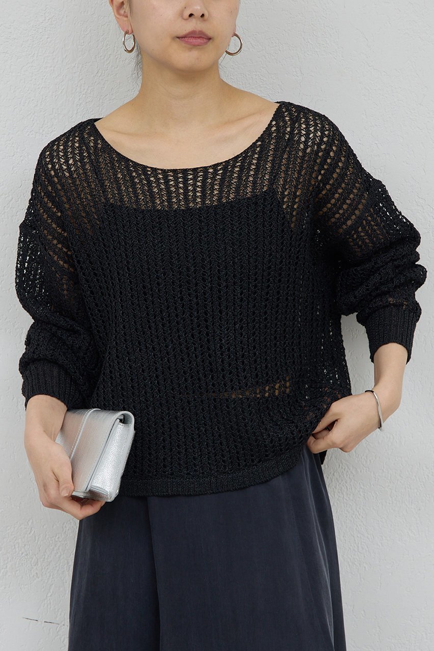 【ガリャルダガランテ/GALLARDAGALANTE】のレーシーメッシュニット インテリア・キッズ・メンズ・レディースファッション・服の通販 founy(ファニー) 　ファッション　Fashion　レディースファッション　Fashion for Women　トップス・カットソー　Cut & Sew Tops　ニット　Knit Tops & Sweaters　カジュアルプルオーバー・ニットトップス　Pullovers & Knit Tops / Casual Pullovers　メッシュ　Mesh, Net Fabric　エレガント 上品　Elegant　新作・新入荷　New Arrivals / New In　ブラック|ID: prp329100004932061 ipo3291000000037018009