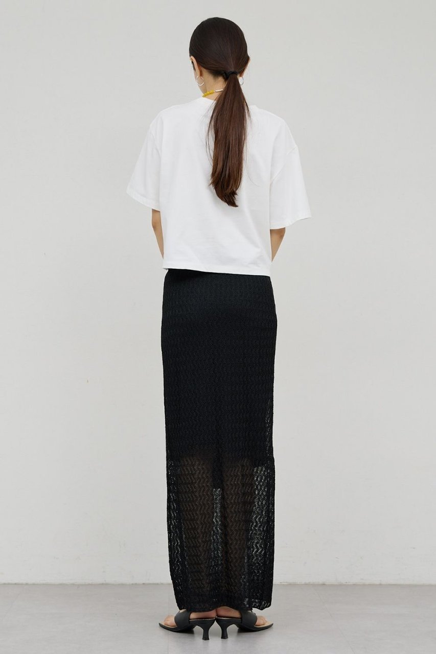 【ガリャルダガランテ/GALLARDAGALANTE】のラメラッセルスカート 人気、トレンドファッション・服の通販 founy(ファニー) 　ファッション　Fashion　レディースファッション　Fashion for Women　スカート　Skirts　ロングスカート　Long Skirts / Maxi & Midi Skirts　おすすめ　Recommended / Our Picks　フィット　Fit, Slim Fit　ペチコート　Petticoat, Underskirt　ロング　Long, Long-Length　エレガント 上品　Elegant　新作・新入荷　New Arrivals / New In　other-4|ID: prp329100004932087 ipo3291000000037018239