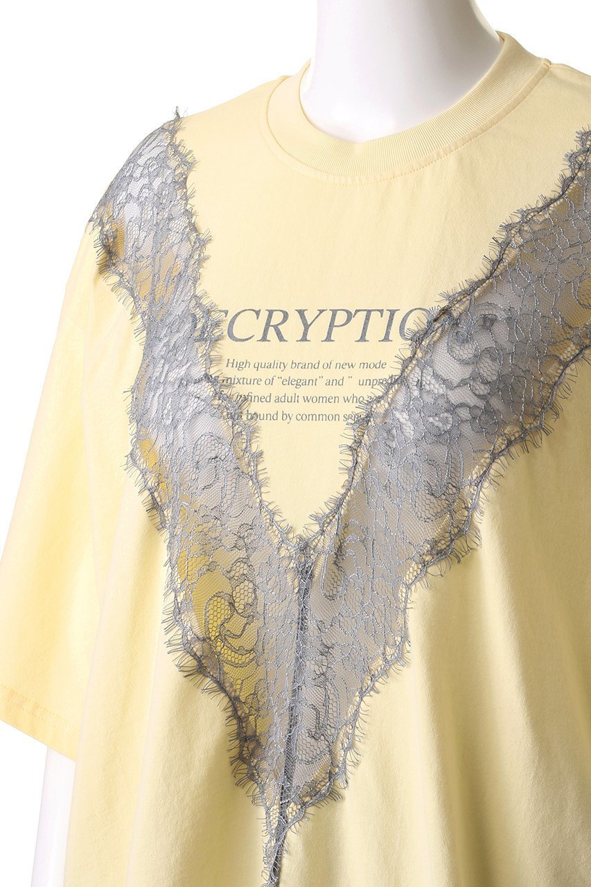 【プランク プロジェクト/PRANK PROJECT】のVカットレースロゴトップ / V Cut Lace Logo Top 人気、トレンドファッション・服の通販 founy(ファニー) 　ファッション　Fashion　レディースファッション　Fashion for Women　トップス・カットソー　Cut & Sew Tops　シャツ・ブラウス・オフィスカジュアル　Elegant Blouses & Button-Ups　ロングTシャツ・Tシャツ　Longline T-Shirts & Tees　カットソー・ベーシックTシャツ　Cut-and-Sewn Tops / Stretch Tees & Basics　おすすめ　Recommended / Our Picks　カットソー　Cut and Sewn Top　ショート　Short, Short Length　スリーブ　Sleeve, Long Sleeve / Short Sleeve　フロント　Front, Front Design　ブリーチ　Bleach, Washed Finish　プリント　Print, Printed Pattern　レース　Lace, Lace Fabric　other-5|ID: prp329100004932097 ipo3291000000037018343