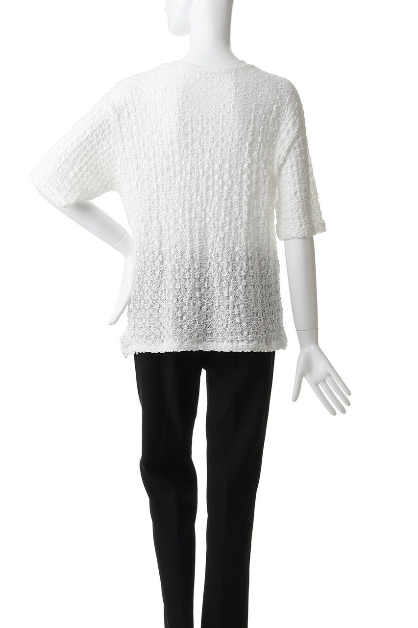 【エリオポール/heliopole】のストレッチレースBIG Tシャツ 人気、トレンドファッション・服の通販 founy(ファニー) 　ファッション　Fashion　レディースファッション　Fashion for Women　トップス・カットソー　Cut & Sew Tops　シャツ・ブラウス・オフィスカジュアル　Elegant Blouses & Button-Ups　ロングTシャツ・Tシャツ　Longline T-Shirts & Tees　カットソー・ベーシックTシャツ　Cut-and-Sewn Tops / Stretch Tees & Basics　ショート　Short, Short Length　ストレッチ　Stretch, Stretchy Fabric　スリーブ　Sleeve, Long Sleeve / Short Sleeve　レース　Lace, Lace Fabric　other-4|ID: prp329100004932188 ipo3291000000037019098