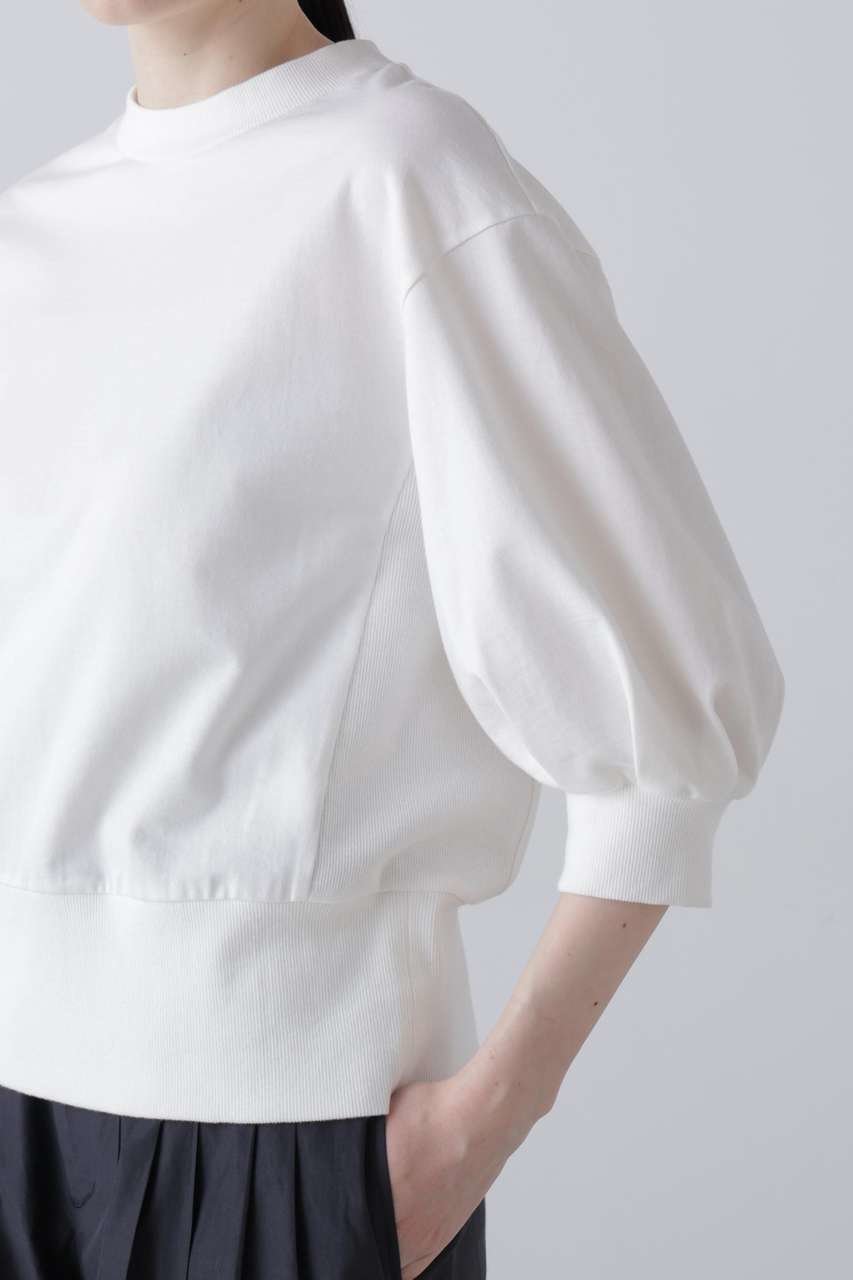 【アドーア/ADORE】のハイゲージウラケトップス 人気、トレンドファッション・服の通販 founy(ファニー) 　ファッション　Fashion　レディースファッション　Fashion for Women　トップス・カットソー　Cut & Sew Tops　シャツ・ブラウス・オフィスカジュアル　Elegant Blouses & Button-Ups　ロングTシャツ・Tシャツ　Longline T-Shirts & Tees　カットソー・ベーシックTシャツ　Cut-and-Sewn Tops / Stretch Tees & Basics　カットソー　Cut and Sewn Top　コンパクト　Compact, Small Size　ショート　Short, Short Length　スリーブ　Sleeve, Long Sleeve / Short Sleeve　テレコ　Ribbed, Rib Stitch　バランス　Balance, Style Balance　other-6|ID: prp329100004932373 ipo3291000000037020691