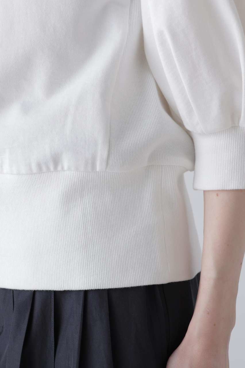 【アドーア/ADORE】のハイゲージウラケトップス 人気、トレンドファッション・服の通販 founy(ファニー) 　ファッション　Fashion　レディースファッション　Fashion for Women　トップス・カットソー　Cut & Sew Tops　シャツ・ブラウス・オフィスカジュアル　Elegant Blouses & Button-Ups　ロングTシャツ・Tシャツ　Longline T-Shirts & Tees　カットソー・ベーシックTシャツ　Cut-and-Sewn Tops / Stretch Tees & Basics　カットソー　Cut and Sewn Top　コンパクト　Compact, Small Size　ショート　Short, Short Length　スリーブ　Sleeve, Long Sleeve / Short Sleeve　テレコ　Ribbed, Rib Stitch　バランス　Balance, Style Balance　other-7|ID: prp329100004932373 ipo3291000000037020692