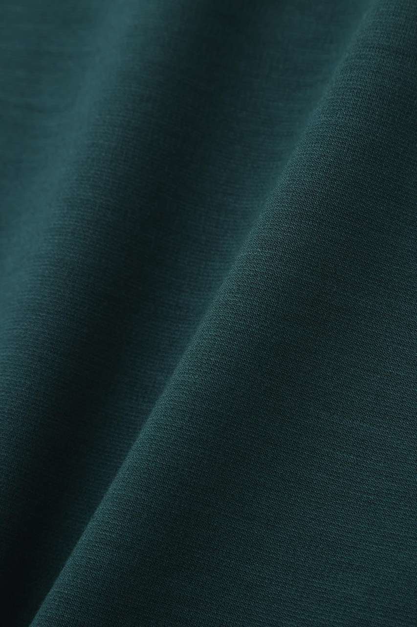 【アドーア/ADORE】のコンパクトポンチトップス 人気、トレンドファッション・服の通販 founy(ファニー) 　ファッション　Fashion　レディースファッション　Fashion for Women　トップス・カットソー　Cut & Sew Tops　シャツ・ブラウス・オフィスカジュアル　Elegant Blouses & Button-Ups　ロングTシャツ・Tシャツ　Longline T-Shirts & Tees　カットソー・ベーシックTシャツ　Cut-and-Sewn Tops / Stretch Tees & Basics　なめらか　Smooth, Silky Texture　コンパクト　Compact, Small Size　ショート　Short, Short Length　スリーブ　Sleeve, Long Sleeve / Short Sleeve　人気　Popular, Best Seller　定番　Standard, Basic Item　other-4|ID: prp329100004932395 ipo3291000000037020865