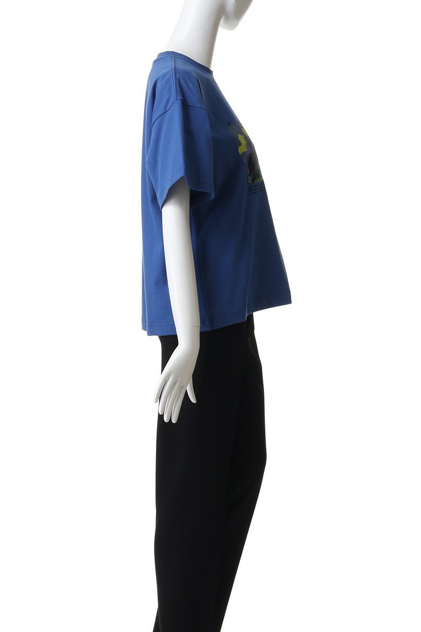 【アンドワンダー/and wander】のkrell Color Tシャツ by MASAYOSHI SUZUKI 人気、トレンドファッション・服の通販 founy(ファニー) 　ファッション　Fashion　レディースファッション　Fashion for Women　トップス・カットソー　Cut & Sew Tops　シャツ・ブラウス・オフィスカジュアル　Elegant Blouses & Button-Ups　ロングTシャツ・Tシャツ　Longline T-Shirts & Tees　カットソー・ベーシックTシャツ　Cut-and-Sewn Tops / Stretch Tees & Basics　ショート　Short, Short Length　スリーブ　Sleeve, Long Sleeve / Short Sleeve　バランス　Balance, Style Balance　プリント　Print, Printed Pattern　ボトム　Bottoms, Lower Wear　other-3|ID: prp329100004932413 ipo3291000000037021009