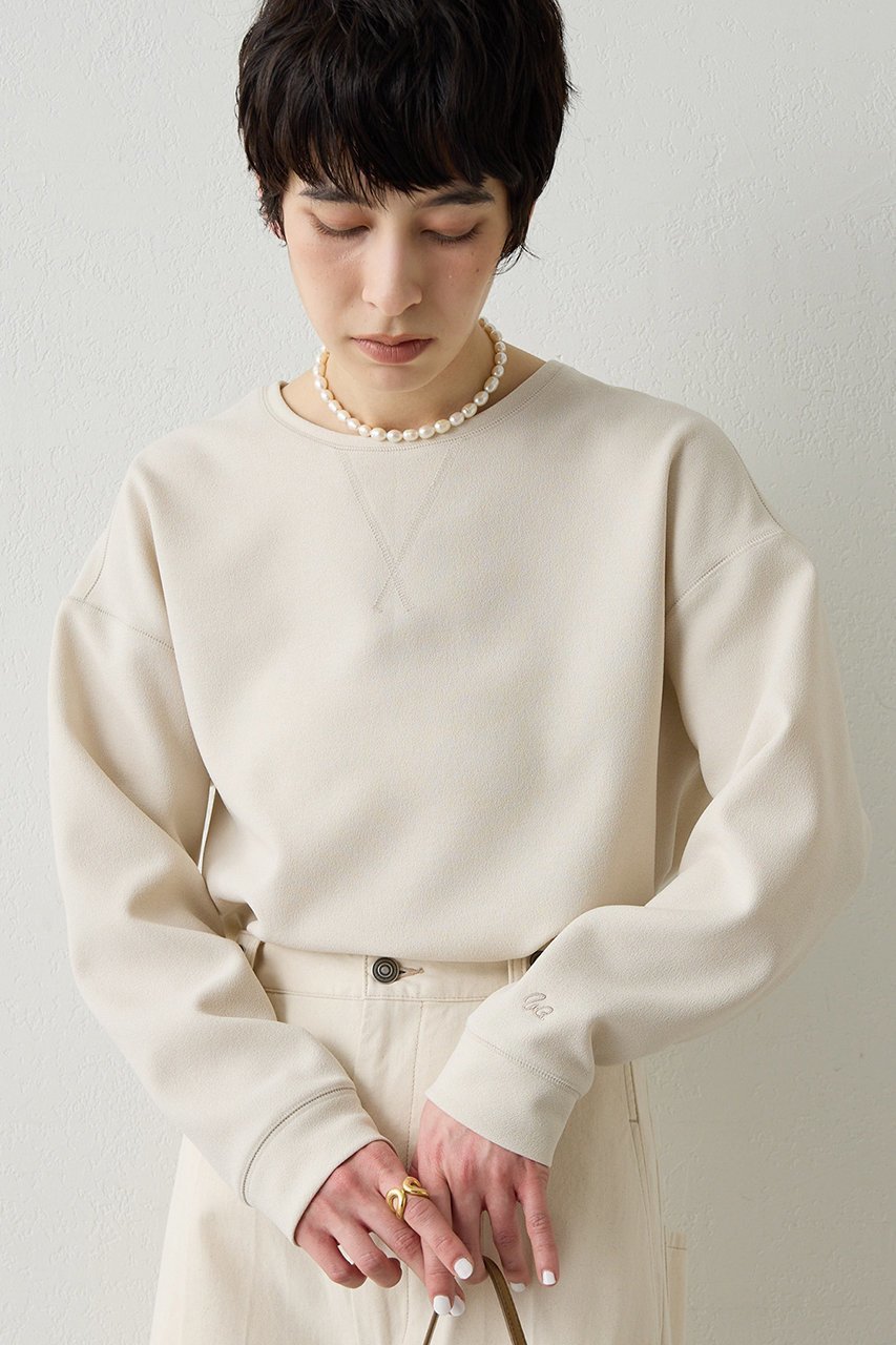 【ウィムガゼット/Whim Gazette】の刺繍Vガゼットプルオーバー インテリア・キッズ・メンズ・レディースファッション・服の通販 founy(ファニー) 　ファッション　Fashion　レディースファッション　Fashion for Women　トップス・カットソー　Cut & Sew Tops　シャツ・ブラウス・オフィスカジュアル　Elegant Blouses & Button-Ups　ロングTシャツ・Tシャツ　Longline T-Shirts & Tees　カジュアルプルオーバー・ニットトップス　Pullovers & Knit Tops / Casual Pullovers　カットソー・ベーシックTシャツ　Cut-and-Sewn Tops / Stretch Tees & Basics　アクセサリー　Fashion Accessories　ジョーゼット　Georgette, Semi-Sheer Fabric　スウェット / スエット　Sweatshirt, Sweatwear　スリーブ　Sleeve, Long Sleeve / Short Sleeve　定番　Standard, Basic Item　ロング　Long, Long-Length　ベージュ|ID: prp329100004932447 ipo3291000000037021329