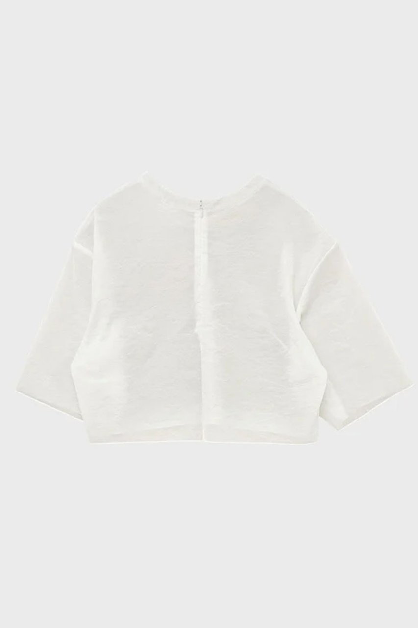 【スタニングルアー/STUNNING LURE】のシアーストレッチクロップドT 人気、トレンドファッション・服の通販 founy(ファニー) 　ファッション　Fashion　レディースファッション　Fashion for Women　トップス・カットソー　Cut & Sew Tops　シャツ・ブラウス・オフィスカジュアル　Elegant Blouses & Button-Ups　ロングTシャツ・Tシャツ　Longline T-Shirts & Tees　カットソー・ベーシックTシャツ　Cut-and-Sewn Tops / Stretch Tees & Basics　クロップド　Cropped, Short Length　コンパクト　Compact, Small Size　ショート　Short, Short Length　シンプル　Simple, Minimal　スリーブ　Sleeve, Long Sleeve / Short Sleeve　トレンド　Trend, Trending Now　バランス　Balance, Style Balance　ボトム　Bottoms, Lower Wear　軽量　Lightweight, Ultra Light　other-2|ID: prp329100004932484 ipo3291000000037021622