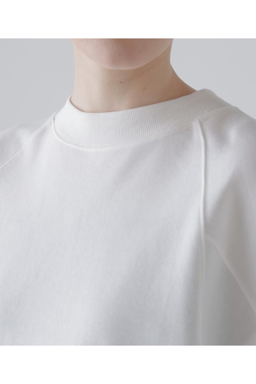 【アドーア/ADORE】のミニウラケトップス 人気、トレンドファッション・服の通販 founy(ファニー) 　ファッション　Fashion　レディースファッション　Fashion for Women　トップス・カットソー　Cut & Sew Tops　シャツ・ブラウス・オフィスカジュアル　Elegant Blouses & Button-Ups　ロングTシャツ・Tシャツ　Longline T-Shirts & Tees　カットソー・ベーシックTシャツ　Cut-and-Sewn Tops / Stretch Tees & Basics　ショート　Short, Short Length　シンプル　Simple, Minimal　スウェット / スエット　Sweatshirt, Sweatwear　スリーブ　Sleeve, Long Sleeve / Short Sleeve　ループ　Loop, Loop Knit　エレガント 上品　Elegant　other-6|ID: prp329100004932491 ipo3291000000037021687