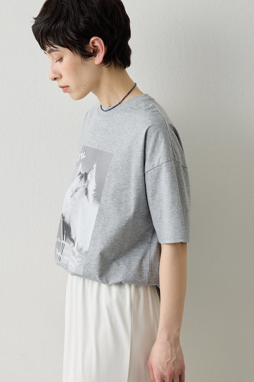 【ウィムガゼット/Whim Gazette】の【THE PAUSE】CATフォトTシャツ 人気、トレンドファッション・服の通販 founy(ファニー) 　ファッション　Fashion　レディースファッション　Fashion for Women　トップス・カットソー　Cut & Sew Tops　シャツ・ブラウス・オフィスカジュアル　Elegant Blouses & Button-Ups　ロングTシャツ・Tシャツ　Longline T-Shirts & Tees　カットソー・ベーシックTシャツ　Cut-and-Sewn Tops / Stretch Tees & Basics　おすすめ　Recommended / Our Picks　カットソー　Cut and Sewn Top　ショート　Short, Short Length　ジャケット　Jacket, Outerwear　スリーブ　Sleeve, Long Sleeve / Short Sleeve　プリント　Print, Printed Pattern　ボトム　Bottoms, Lower Wear　半袖　Short Sleeve, Half Sleeve　other-3|ID: prp329100004932525 ipo3291000000037022016