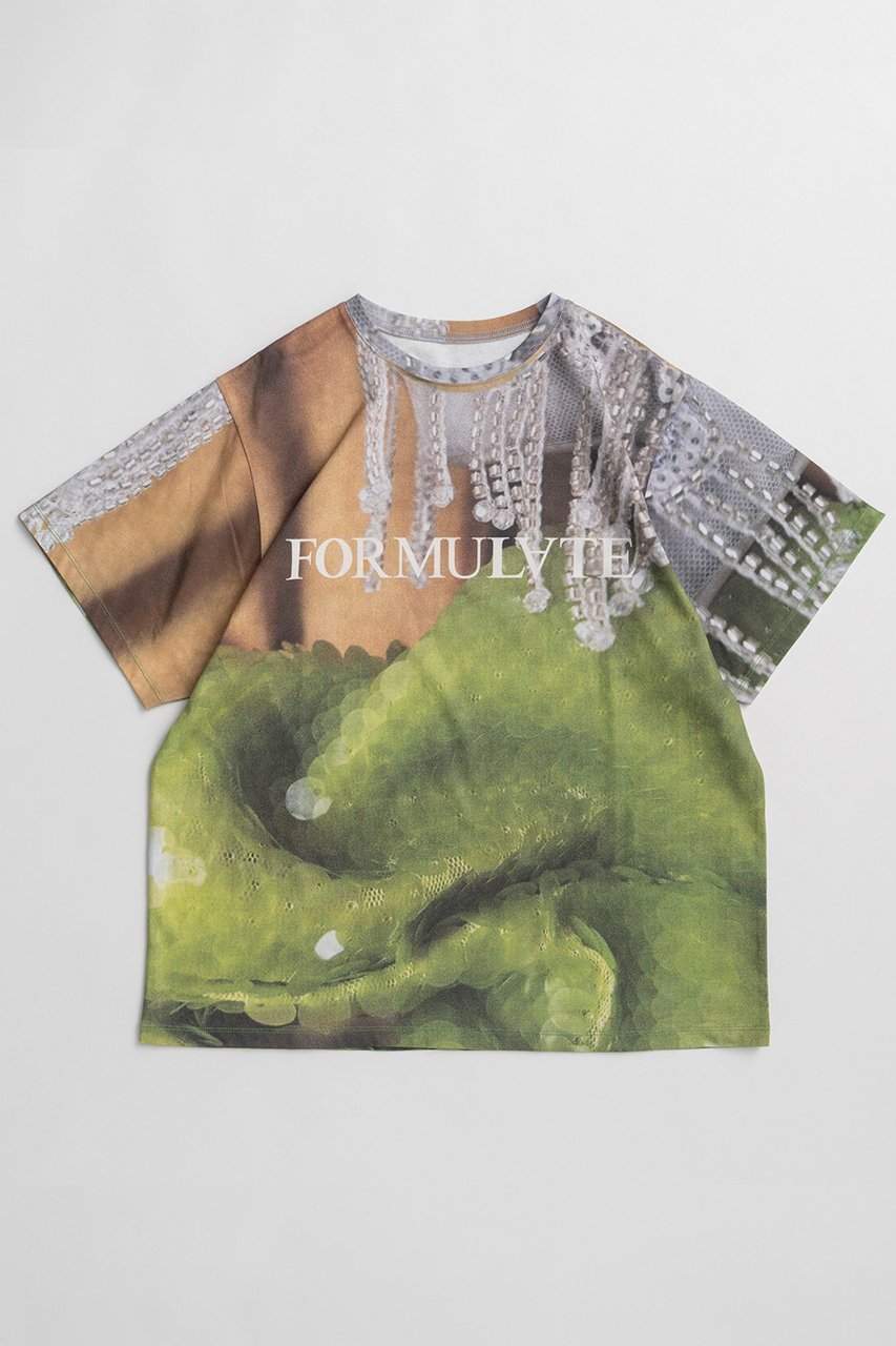 【メゾンスペシャル/MAISON SPECIAL】のFabric Photo Over T-Shirt/ファブリックフォトオーバーTEE インテリア・キッズ・メンズ・レディースファッション・服の通販 founy(ファニー) 　ファッション　Fashion　レディースファッション　Fashion for Women　トップス・カットソー　Cut & Sew Tops　シャツ・ブラウス・オフィスカジュアル　Elegant Blouses & Button-Ups　ロングTシャツ・Tシャツ　Longline T-Shirts & Tees　カットソー・ベーシックTシャツ　Cut-and-Sewn Tops / Stretch Tees & Basics　グラフィック　Graphic, Graphic Design　ショート　Short, Short Length　シンプル　Simple, Minimal　スリーブ　Sleeve, Long Sleeve / Short Sleeve　バランス　Balance, Style Balance　フロント　Front, Front Design　プリント　Print, Printed Pattern　おすすめ　Recommended / Our Picks　新作・新入荷　New Arrivals / New In　GRN(グリーン)|ID: prp329100004932885 ipo3291000000037025529