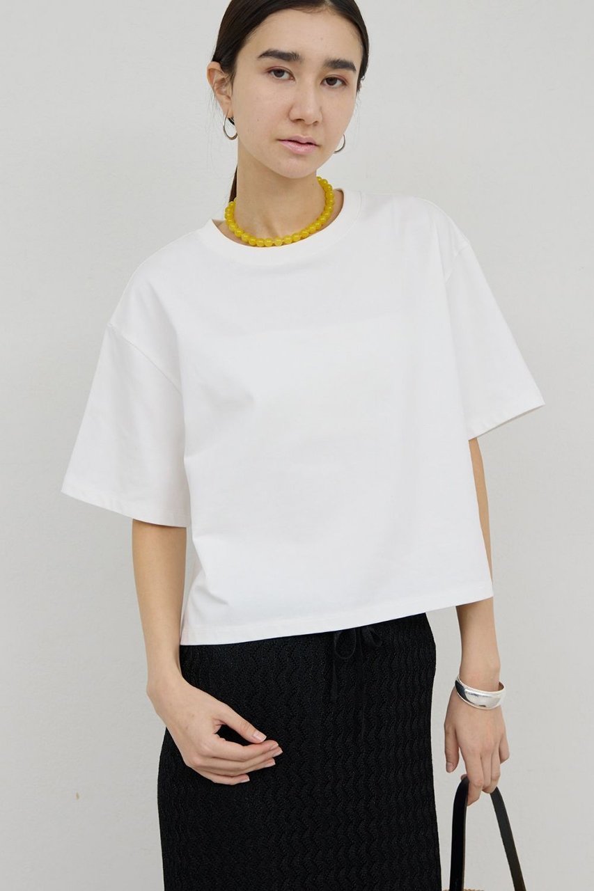 【ガリャルダガランテ/GALLARDAGALANTE】のクロップドTee 人気、トレンドファッション・服の通販 founy(ファニー) 　ファッション　Fashion　レディースファッション　Fashion for Women　トップス・カットソー　Cut & Sew Tops　シャツ・ブラウス・オフィスカジュアル　Elegant Blouses & Button-Ups　ロングTシャツ・Tシャツ　Longline T-Shirts & Tees　カットソー・ベーシックTシャツ　Cut-and-Sewn Tops / Stretch Tees & Basics　インナー　Innerwear　カットソー　Cut and Sewn Top　クロップド　Cropped, Short Length　コンパクト　Compact, Small Size　ショート　Short, Short Length　スリーブ　Sleeve, Long Sleeve / Short Sleeve　バランス　Balance, Style Balance　フィット　Fit, Slim Fit　新作・新入荷　New Arrivals / New In　 other-1|ID: prp329100004933042 ipo3291000000037026733