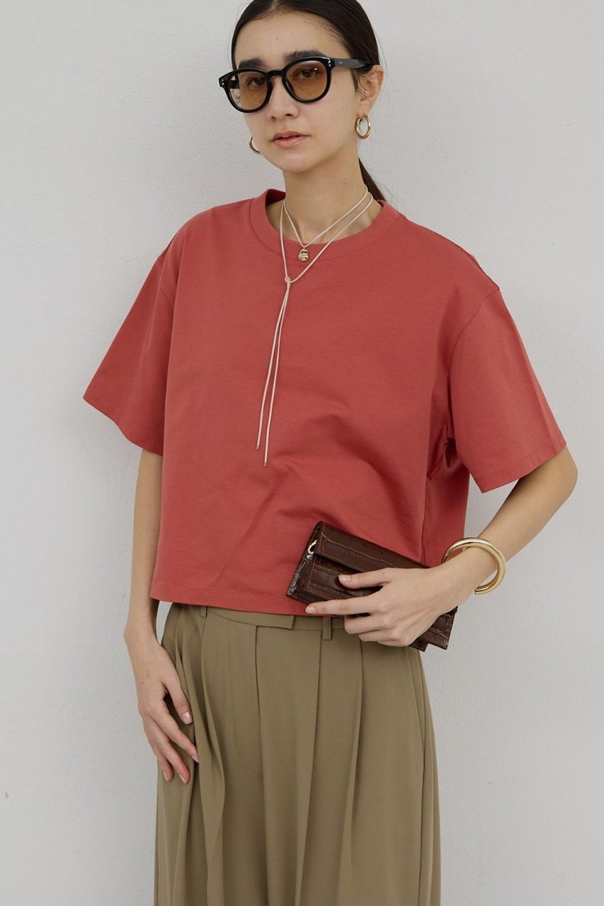 【ガリャルダガランテ/GALLARDAGALANTE】のクロップドTee インテリア・キッズ・メンズ・レディースファッション・服の通販 founy(ファニー) 　ファッション　Fashion　レディースファッション　Fashion for Women　トップス・カットソー　Cut & Sew Tops　シャツ・ブラウス・オフィスカジュアル　Elegant Blouses & Button-Ups　ロングTシャツ・Tシャツ　Longline T-Shirts & Tees　カットソー・ベーシックTシャツ　Cut-and-Sewn Tops / Stretch Tees & Basics　インナー　Innerwear　カットソー　Cut and Sewn Top　クロップド　Cropped, Short Length　コンパクト　Compact, Small Size　ショート　Short, Short Length　スリーブ　Sleeve, Long Sleeve / Short Sleeve　バランス　Balance, Style Balance　フィット　Fit, Slim Fit　新作・新入荷　New Arrivals / New In　オレンジ|ID: prp329100004933042 ipo3291000000037026736
