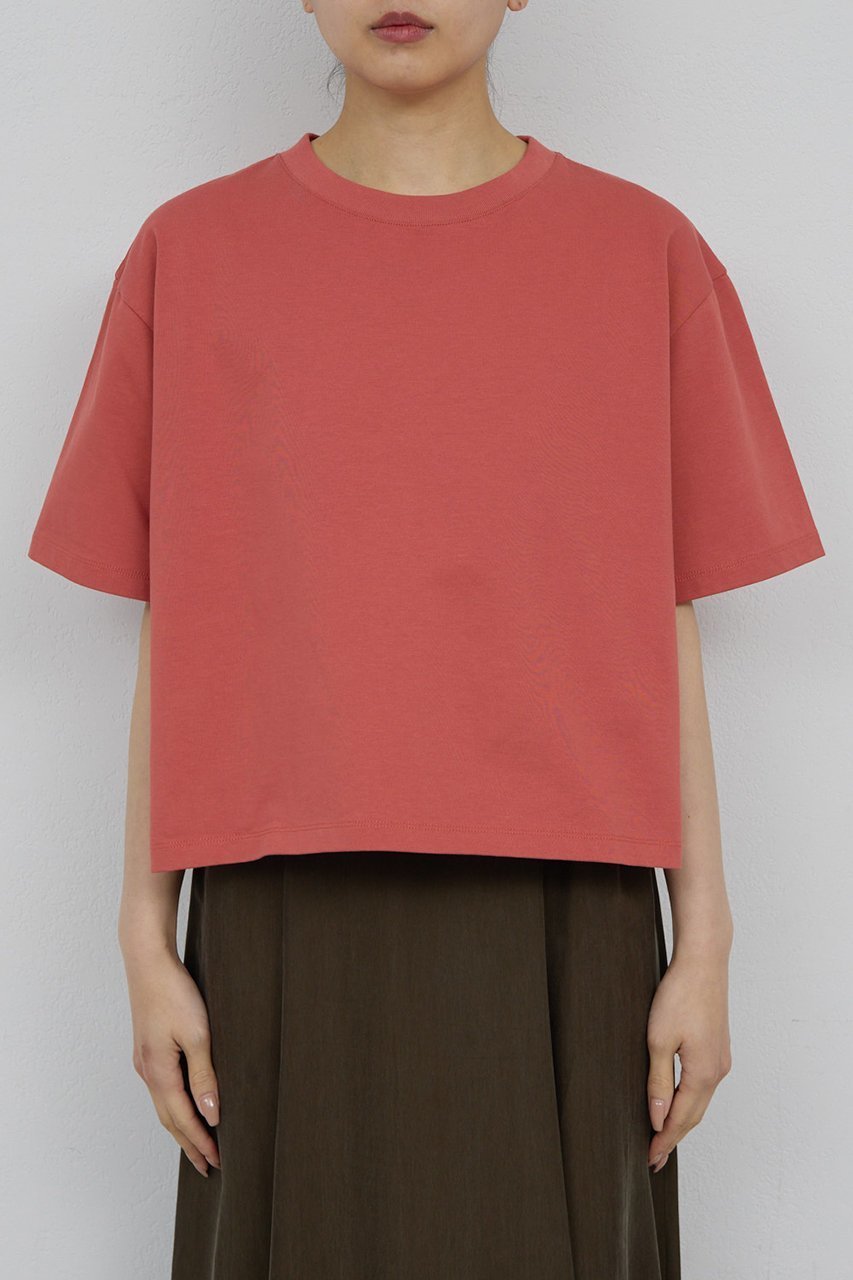 【ガリャルダガランテ/GALLARDAGALANTE】のクロップドTee 人気、トレンドファッション・服の通販 founy(ファニー) 　ファッション　Fashion　レディースファッション　Fashion for Women　トップス・カットソー　Cut & Sew Tops　シャツ・ブラウス・オフィスカジュアル　Elegant Blouses & Button-Ups　ロングTシャツ・Tシャツ　Longline T-Shirts & Tees　カットソー・ベーシックTシャツ　Cut-and-Sewn Tops / Stretch Tees & Basics　インナー　Innerwear　カットソー　Cut and Sewn Top　クロップド　Cropped, Short Length　コンパクト　Compact, Small Size　ショート　Short, Short Length　スリーブ　Sleeve, Long Sleeve / Short Sleeve　バランス　Balance, Style Balance　フィット　Fit, Slim Fit　新作・新入荷　New Arrivals / New In　other-8|ID: prp329100004933042 ipo3291000000037026748