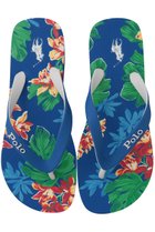 【ラルフローレン/RALPH LAUREN / MEN】の【MEN】【POLO RALPH LAUREN】ボルト トロピカルプリント フリップフロップ 人気、トレンドファッション・服の通販 founy(ファニー) ファッション Fashion メンズファッション Fashion for Men インソール Shoe Insole サンダル Sandals, Summer Shoes ビーチ Beach, Seaside プリント Print, Printed Pattern モチーフ Motif, Design Theme ラップ Wrap, Wrap Design ラバー Rubber, Rubber Sole リゾート Resort, Vacation Style 夏 Summer 新作・新入荷 New Arrivals / New In 旅行 Travel thumbnail ブルー|ID: prp329100004935546 ipo3291000000037037864