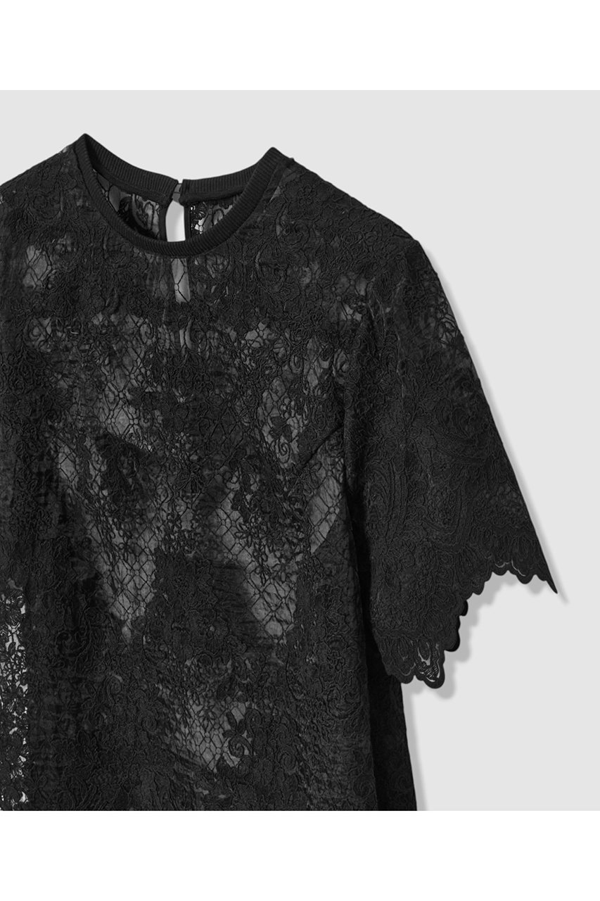 【アルアバイル/allureville】の【LOULOU WILLOUGHBY】オーガンスカラTシャツ 人気、トレンドファッション・服の通販 founy(ファニー) 　ファッション　Fashion　レディースファッション　Fashion for Women　トップス・カットソー　Cut & Sew Tops　シャツ・ブラウス・オフィスカジュアル　Elegant Blouses & Button-Ups　ロングTシャツ・Tシャツ　Longline T-Shirts & Tees　カットソー・ベーシックTシャツ　Cut-and-Sewn Tops / Stretch Tees & Basics　オーガンジー　Organza Fabric　ショート　Short, Short Length　シンプル　Simple, Minimal　スカラップ　Scallop, Scalloped Edge　スリーブ　Sleeve, Long Sleeve / Short Sleeve　チュール　Tulip, Tulip Motif　ヘムライン　Hemline, Bottom Cut　夏　Summer　新作・新入荷　New Arrivals / New In　other-3|ID: prp329100004935551 ipo3291000000037037904