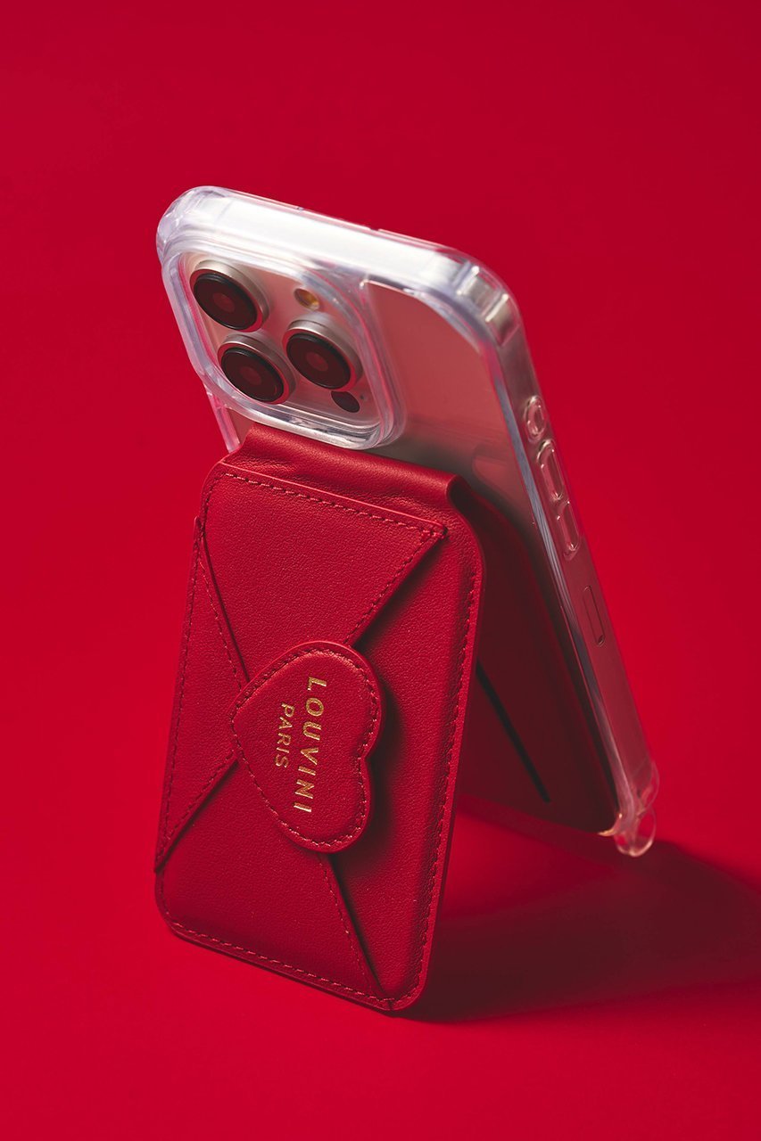 【ルヴィニ パリ/Louvini Paris】のカードケース CHERIE 人気、トレンドファッション・服の通販 founy(ファニー) 　ファッション　Fashion　レディースファッション　Fashion for Women　カードケース/名刺入れ　Card Holders & Business Cases　ストライプ　Stripe, Striped Pattern　スマート　Smart, Elegant　なめらか　Smooth, Silky Texture　ポケット　Pocket, Pocket Detail　エレガント 上品　Elegant　新作・新入荷　New Arrivals / New In　other-6|ID: prp329100004936540 ipo3291000000037043359