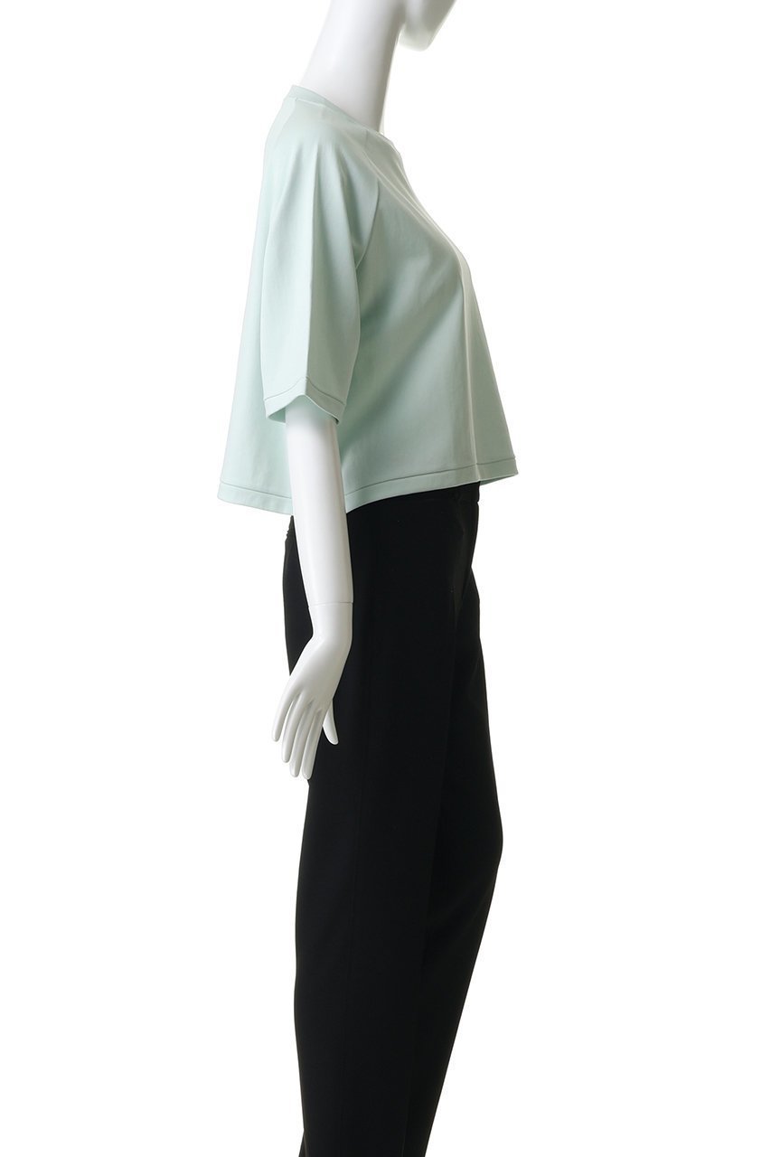 【スリー ドッツ/three dots】のダブルニットスーピマ クロップドTシャツ 人気、トレンドファッション・服の通販 founy(ファニー) 　ファッション　Fashion　レディースファッション　Fashion for Women　トップス・カットソー　Cut & Sew Tops　ニット　Knit Tops & Sweaters　シャツ・ブラウス・オフィスカジュアル　Elegant Blouses & Button-Ups　ロングTシャツ・Tシャツ　Longline T-Shirts & Tees　カットソー・ベーシックTシャツ　Cut-and-Sewn Tops / Stretch Tees & Basics　クロップド　Cropped, Short Length　ショート　Short, Short Length　スリーブ　Sleeve, Long Sleeve / Short Sleeve　ダブル　Double, Double-Breasted　トレンド　Trend, Trending Now　バランス　Balance, Style Balance　フィット　Fit, Slim Fit　ベーシック　Basic, Essential　新作・新入荷　New Arrivals / New In　other-3|ID: prp329100004937304 ipo3291000000037048551