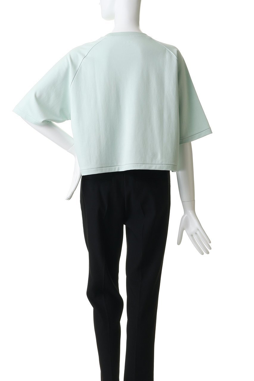 【スリー ドッツ/three dots】のダブルニットスーピマ クロップドTシャツ 人気、トレンドファッション・服の通販 founy(ファニー) 　ファッション　Fashion　レディースファッション　Fashion for Women　トップス・カットソー　Cut & Sew Tops　ニット　Knit Tops & Sweaters　シャツ・ブラウス・オフィスカジュアル　Elegant Blouses & Button-Ups　ロングTシャツ・Tシャツ　Longline T-Shirts & Tees　カットソー・ベーシックTシャツ　Cut-and-Sewn Tops / Stretch Tees & Basics　クロップド　Cropped, Short Length　ショート　Short, Short Length　スリーブ　Sleeve, Long Sleeve / Short Sleeve　ダブル　Double, Double-Breasted　トレンド　Trend, Trending Now　バランス　Balance, Style Balance　フィット　Fit, Slim Fit　ベーシック　Basic, Essential　新作・新入荷　New Arrivals / New In　other-4|ID: prp329100004937304 ipo3291000000037048552
