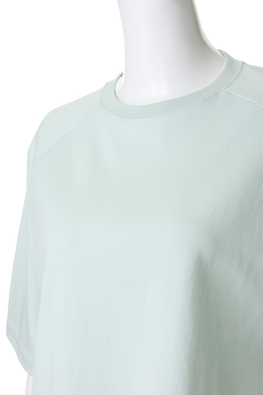 【スリー ドッツ/three dots】のダブルニットスーピマ クロップドTシャツ 人気、トレンドファッション・服の通販 founy(ファニー) 　ファッション　Fashion　レディースファッション　Fashion for Women　トップス・カットソー　Cut & Sew Tops　ニット　Knit Tops & Sweaters　シャツ・ブラウス・オフィスカジュアル　Elegant Blouses & Button-Ups　ロングTシャツ・Tシャツ　Longline T-Shirts & Tees　カットソー・ベーシックTシャツ　Cut-and-Sewn Tops / Stretch Tees & Basics　クロップド　Cropped, Short Length　ショート　Short, Short Length　スリーブ　Sleeve, Long Sleeve / Short Sleeve　ダブル　Double, Double-Breasted　トレンド　Trend, Trending Now　バランス　Balance, Style Balance　フィット　Fit, Slim Fit　ベーシック　Basic, Essential　新作・新入荷　New Arrivals / New In　other-5|ID: prp329100004937304 ipo3291000000037048553