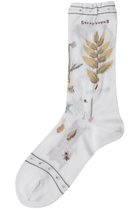 【アンティパスト/ANTIPAST】のボタニカルソックス ホワイト|ID: prp329100004937695 ipo3291000000037051315