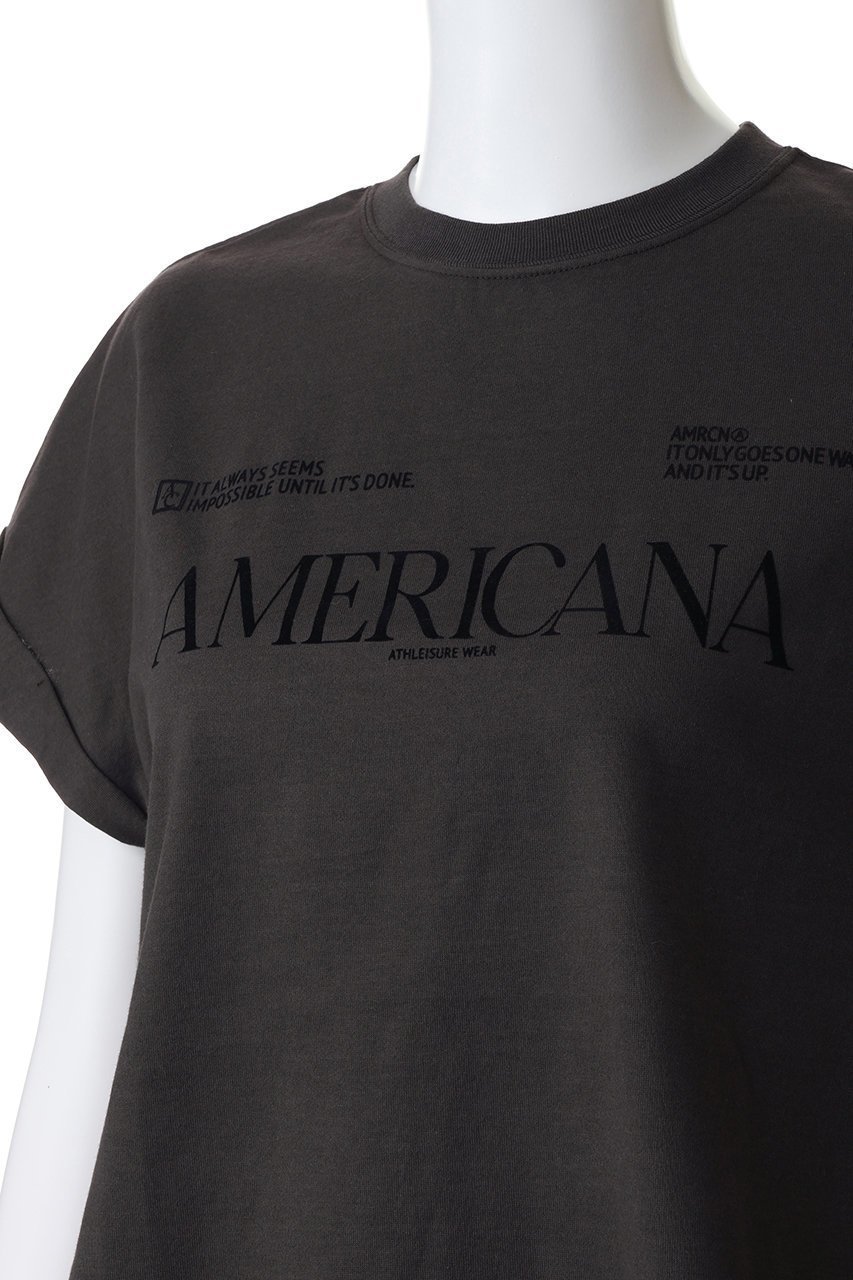【アメリカーナ/Americana】の【ELLE SHOP限定】コットンロゴTシャツ 人気、トレンドファッション・服の通販 founy(ファニー) 　ファッション　Fashion　レディースファッション　Fashion for Women　トップス・カットソー　Cut & Sew Tops　シャツ・ブラウス・オフィスカジュアル　Elegant Blouses & Button-Ups　ロングTシャツ・Tシャツ　Longline T-Shirts & Tees　カットソー・ベーシックTシャツ　Cut-and-Sewn Tops / Stretch Tees & Basics　インナー　Innerwear　カーディガン　Cardigan, Knitwear　ショート　Short, Short Length　ジャケット　Jacket, Outerwear　スリーブ　Sleeve, Long Sleeve / Short Sleeve　フロント　Front, Front Design　新作・新入荷　New Arrivals / New In　other-5|ID: prp329100004938588 ipo3291000000037058594