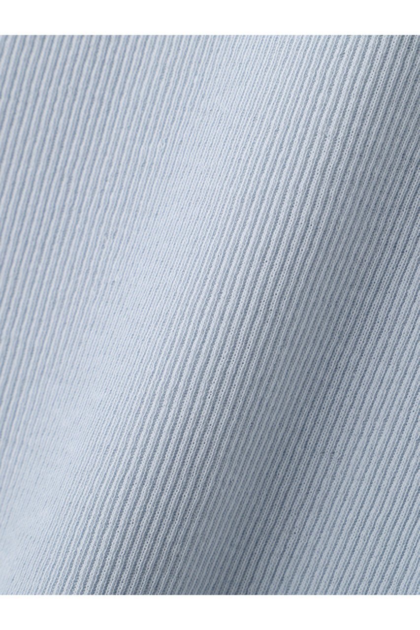 【エトレトウキョウ/ETRE TOKYO】のヘンリーネックシアープルオーバー 人気、トレンドファッション・服の通販 founy(ファニー) 　ファッション　Fashion　レディースファッション　Fashion for Women　トップス・カットソー　Cut & Sew Tops　シャツ・ブラウス・オフィスカジュアル　Elegant Blouses & Button-Ups　ロングTシャツ・Tシャツ　Longline T-Shirts & Tees　カジュアルプルオーバー・ニットトップス　Pullovers & Knit Tops / Casual Pullovers　カットソー・ベーシックTシャツ　Cut-and-Sewn Tops / Stretch Tees & Basics　シアー　Sheer, See-Through　シンプル　Simple, Minimal　スリーブ　Sleeve, Long Sleeve / Short Sleeve　テレコ　Ribbed, Rib Stitch　フィット　Fit, Slim Fit　フロント　Front, Front Design　ロング　Long, Long-Length　新作・新入荷　New Arrivals / New In　春　Spring　other-5|ID: prp329100004941567 ipo3291000000037087549