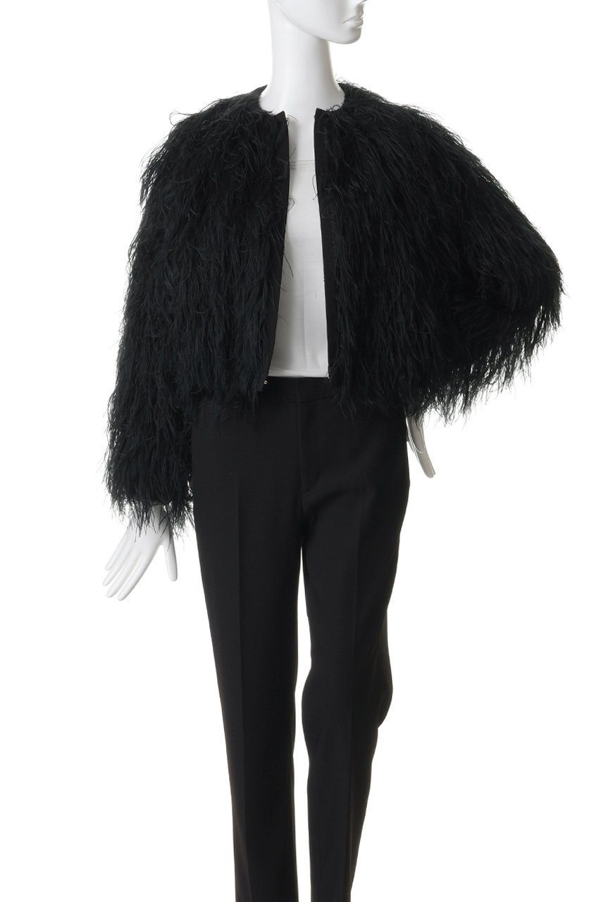 【その他のブランド/Other】のフリンジジャカード ノーカラーブルゾン 人気、トレンドファッション・服の通販 founy(ファニー) 　ファッション　Fashion　レディースファッション　Fashion for Women　アウター　Coat / Outerwear Collection　レディースジャケット・軽アウター　Jackets　ブルゾンジャケット・スポーティアウター　Blouson Jackets　オーガンジー　Organza Fabric　シルク　Silk, 100% Silk　ジャカード／ジャガード　Jacquard, Woven Pattern　ジャケット　Jacket, Outerwear　タイトスカート　Pencil Skirt, Tight Skirt　フリンジ　Fringe, Tassel　フロント　Front, Front Design　ブルゾン　Blouson, Bomber Jacket　エレガント 上品　Elegant　新作・新入荷　New Arrivals / New In　無地　Plain, Solid Color　other-7|ID: prp329100004942651 ipo3291000000037096698