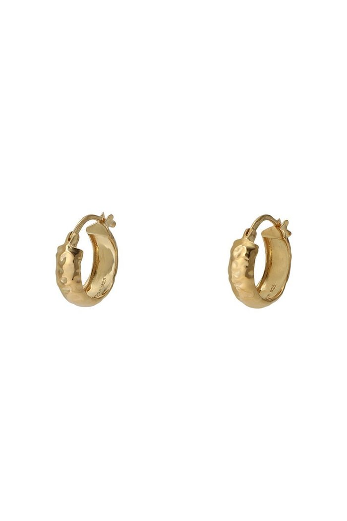 【デイジー ロンドン/DAISY LONDON】のMINI TEXTURED HOOP ピアス インテリア・キッズ・メンズ・レディースファッション・服の通販 founy(ファウニー) https://founy.com/ ファッション Fashion レディースファッション Fashion for Women ジュエリー Jewelry ファッションリング Fashion Rings イヤリング・フープ・ドロップタイプ Hoop, Drop & Clip Earrings おすすめ Recommended / Our Picks イヤリング Earrings シンプル Simple, Minimal フープ Hoop, Hoop Earrings エレガント 上品 Elegant 再入荷 Restock / Back in Stock |ID: prp329100004942913 ipo3291000000037100090
