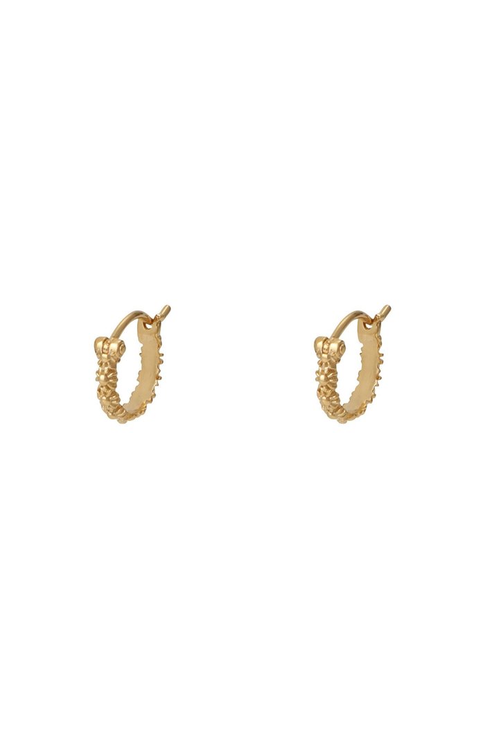 【デイジー ロンドン/DAISY LONDON】のIota Daisy Hoop ピアス インテリア・キッズ・メンズ・レディースファッション・服の通販 founy(ファウニー) https://founy.com/ ファッション Fashion レディースファッション Fashion for Women ジュエリー Jewelry ファッションリング Fashion Rings イヤリング・フープ・ドロップタイプ Hoop, Drop & Clip Earrings イヤリング Earrings フープ Hoop, Hoop Earrings リュクス Luxury, Elegant, High-End, Chic エレガント 上品 Elegant |ID: prp329100004951631 ipo3291000000037157568