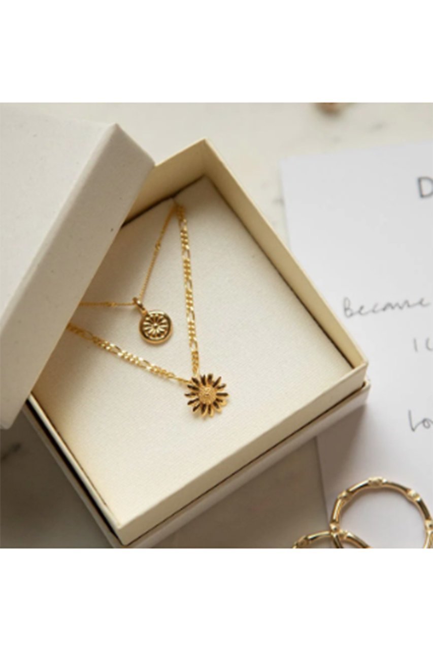 【デイジー ロンドン/DAISY LONDON】のENGLISH DAISY ネックレス 人気、トレンドファッション・服の通販 founy(ファニー) 　ファッション　Fashion　レディースファッション　Fashion for Women　ジュエリー　Jewelry　ネックレス　Necklaces & Pendants　ショート　Short, Short Length　ジュエリー　Jewelry, Accessories　チェーン　Chain, Chain Strap　ネックレス　Necklace, Pendant Necklace　モチーフ　Motif, Design Theme　リュクス　Luxury, Elegant, High-End, Chic　人気　Popular, Best Seller　other-7|ID: prp329100004953535 ipo3291000000037169081